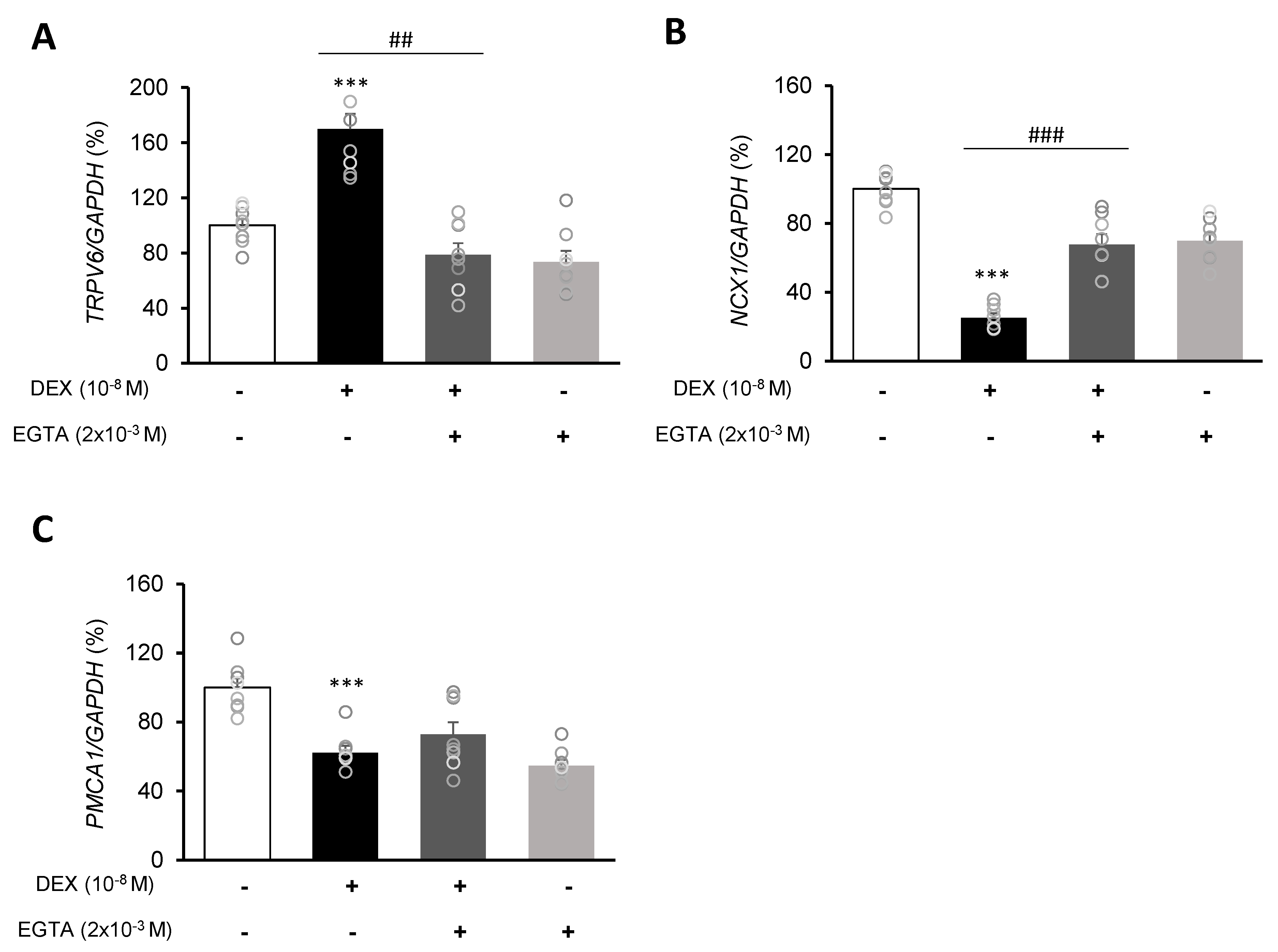 Ijms 21 01050 g004 Ijms 21 01050 g004