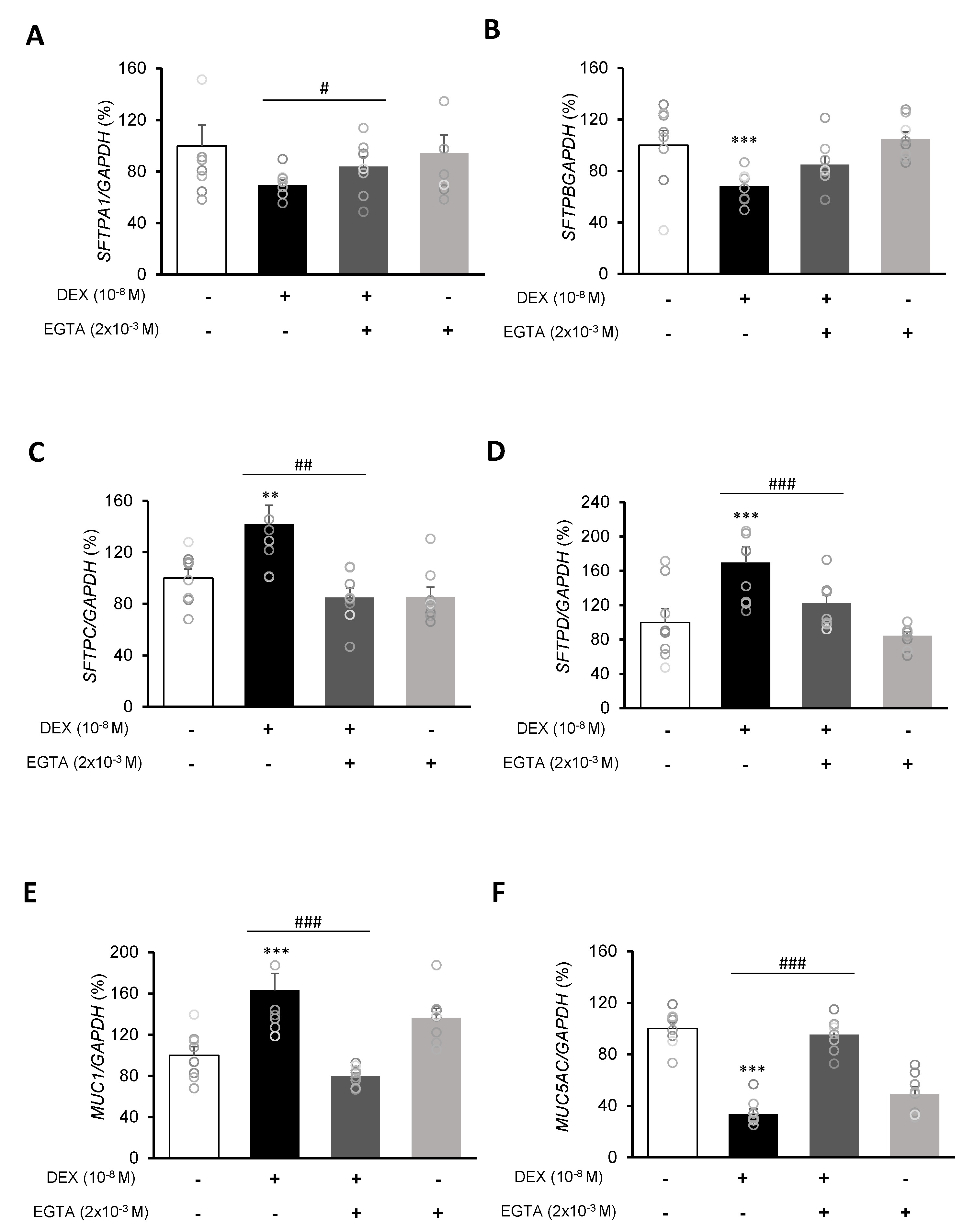 Ijms 21 01050 g006 Ijms 21 01050 g006