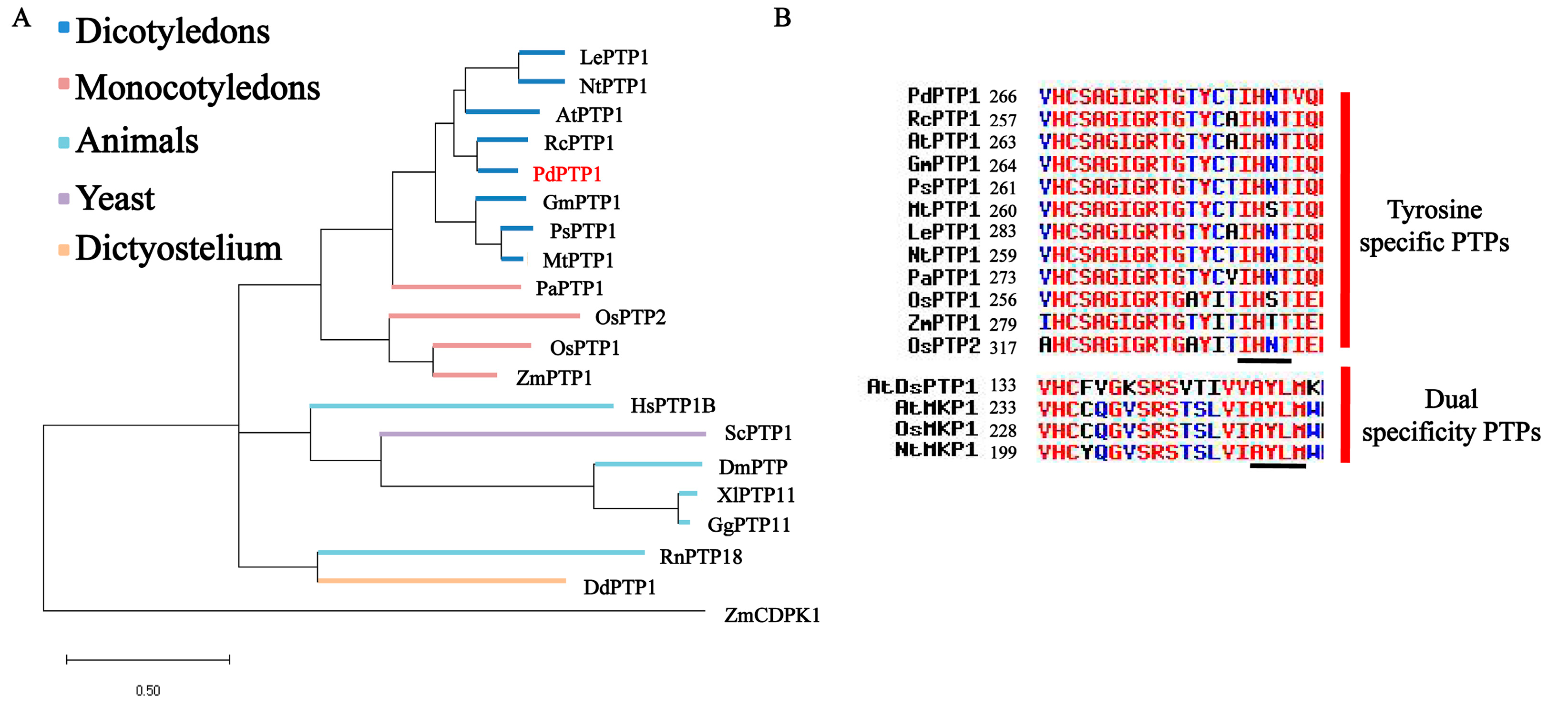 Ijms 21 01065 g001 Ijms 21 01065 g001