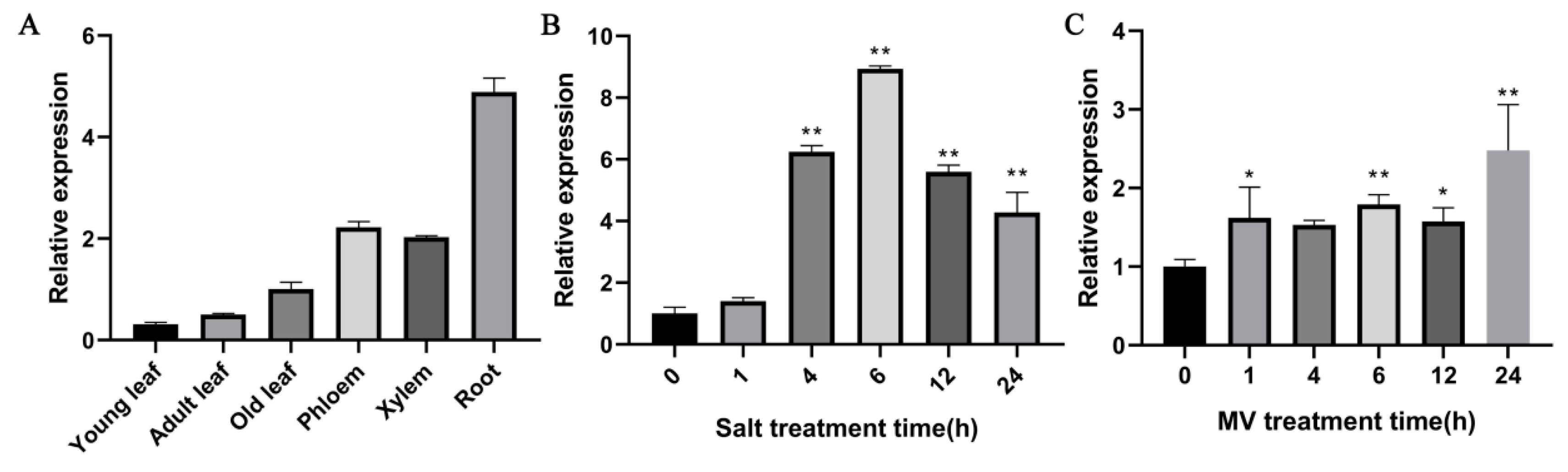 Ijms 21 01065 g003 Ijms 21 01065 g003
