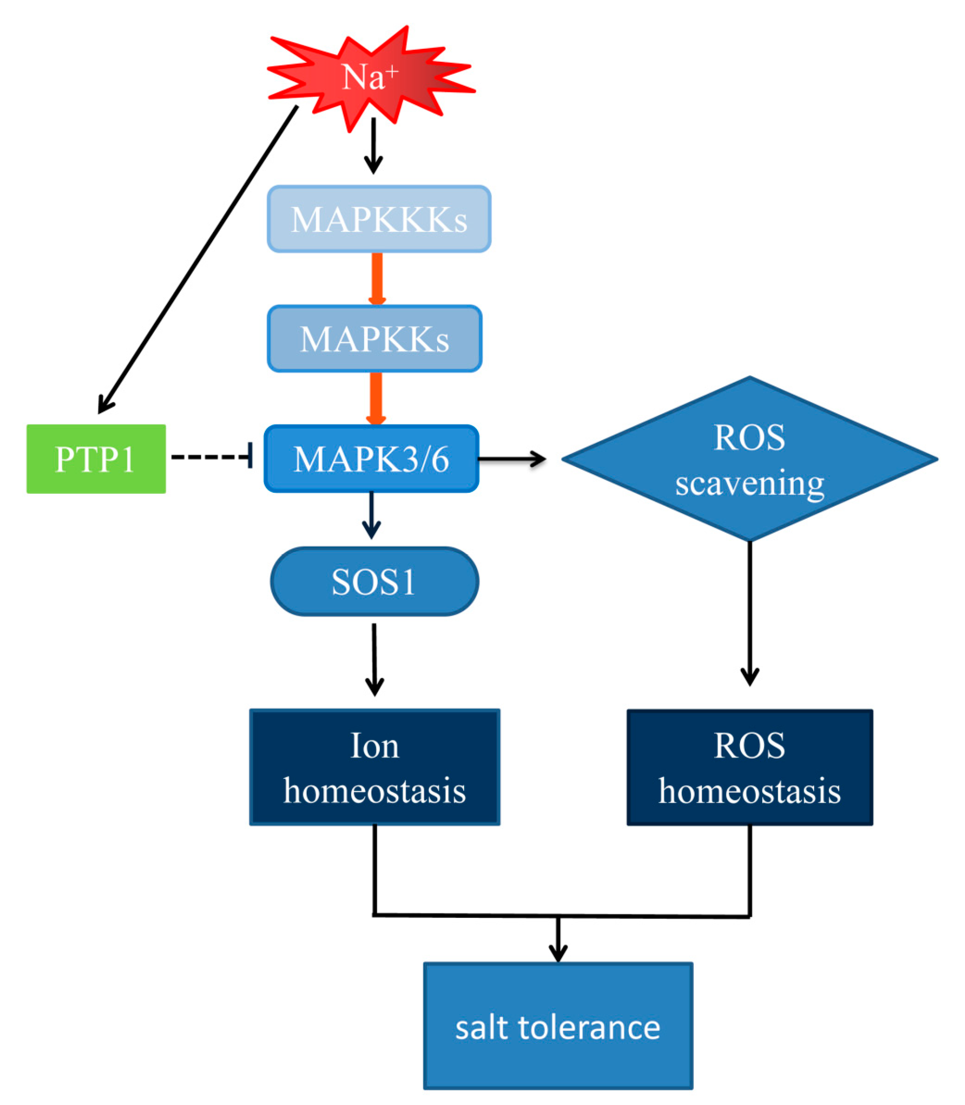 Ijms 21 01065 g010 Ijms 21 01065 g010