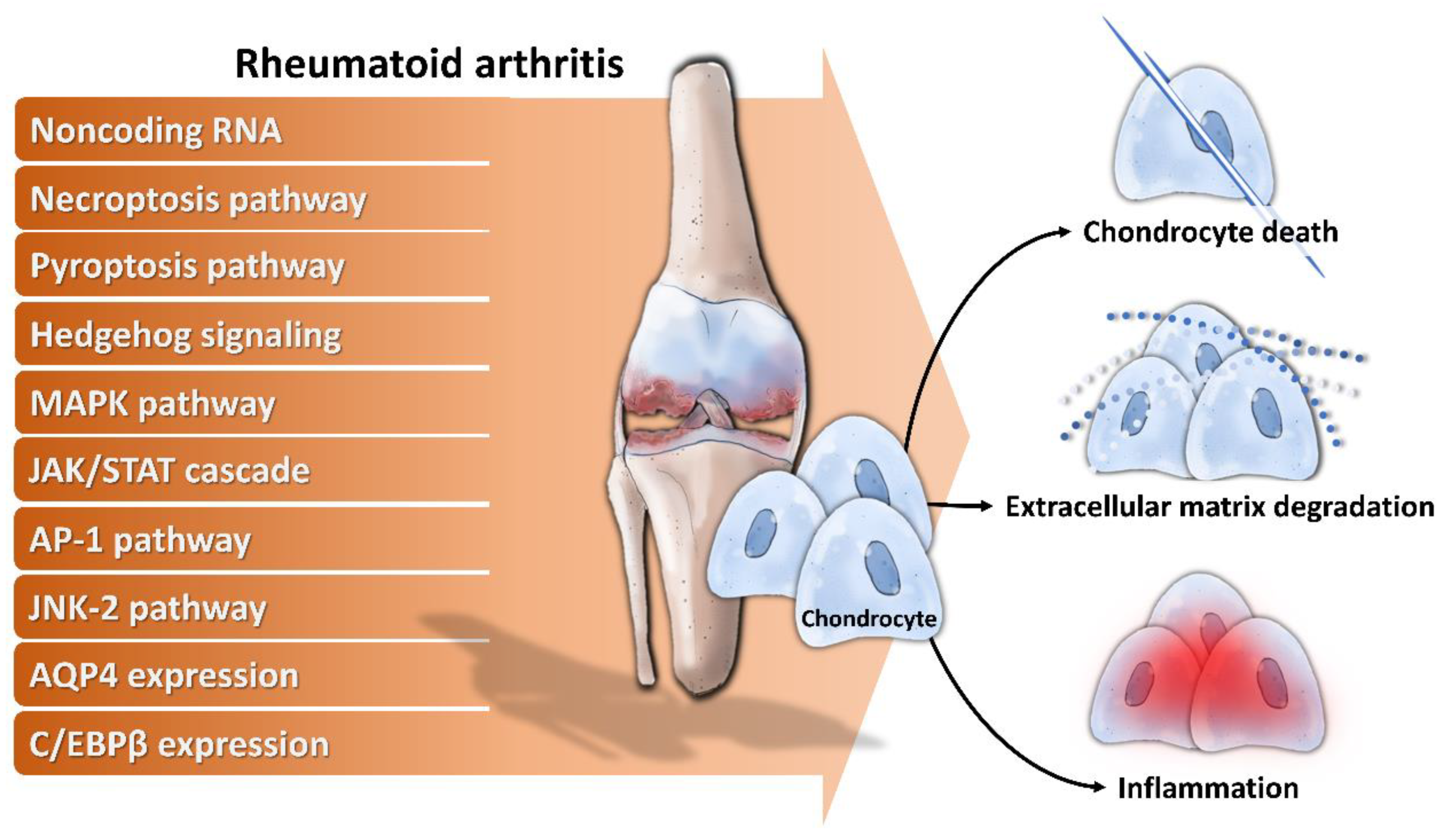 Dieta para artritis reumatoide