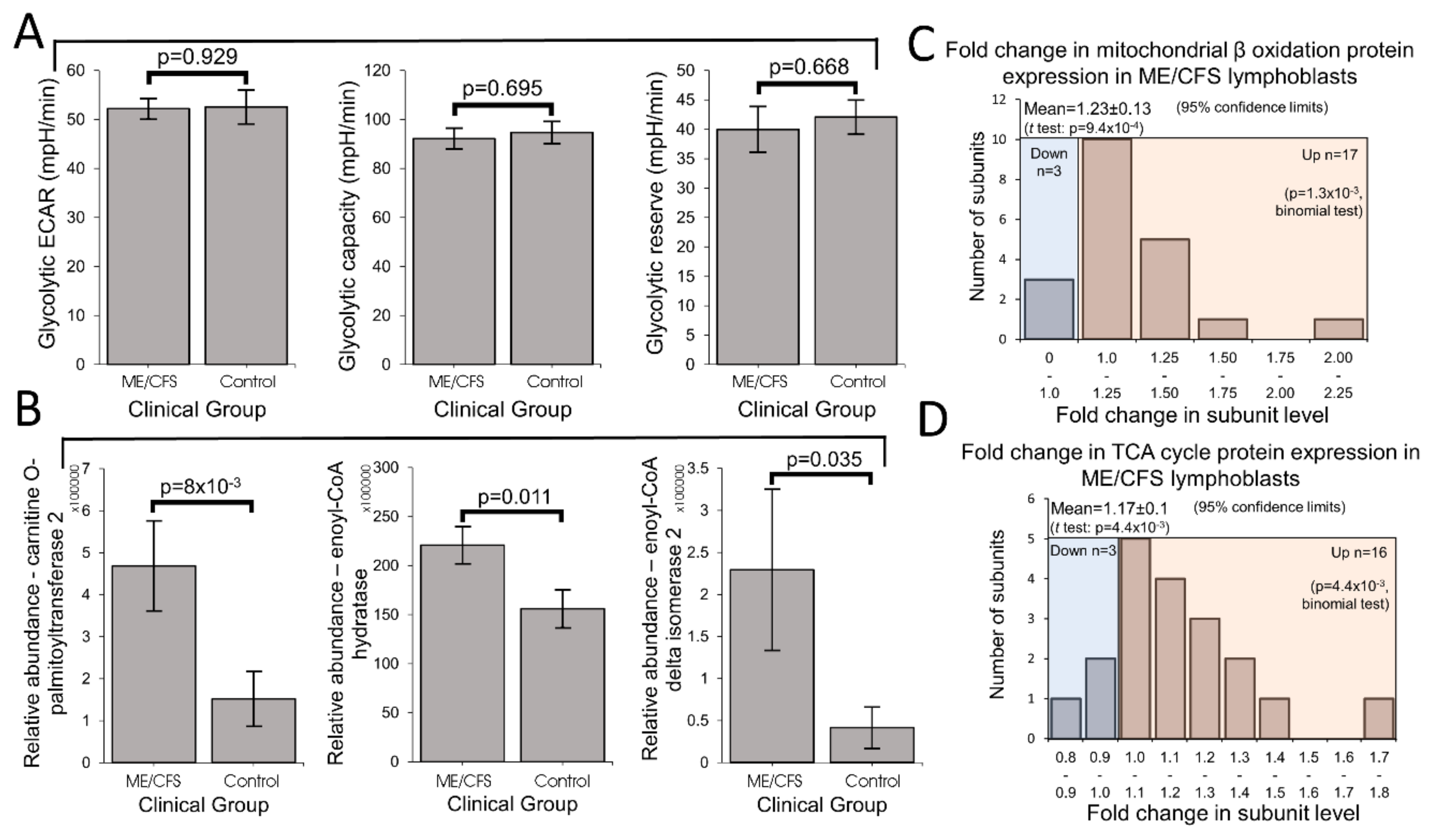 Ijms Free Full Text An Isolated Complex V Inefficiency And Dysregulated Mitochondrial Function In Immortalized Lymphocytes From Me Cfs Patients Html