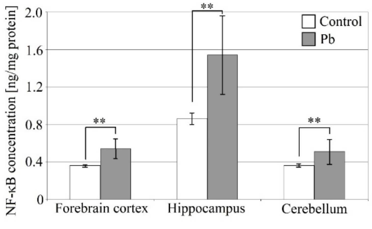 Ijms 21 01083 g005 Ijms 21 01083 g005