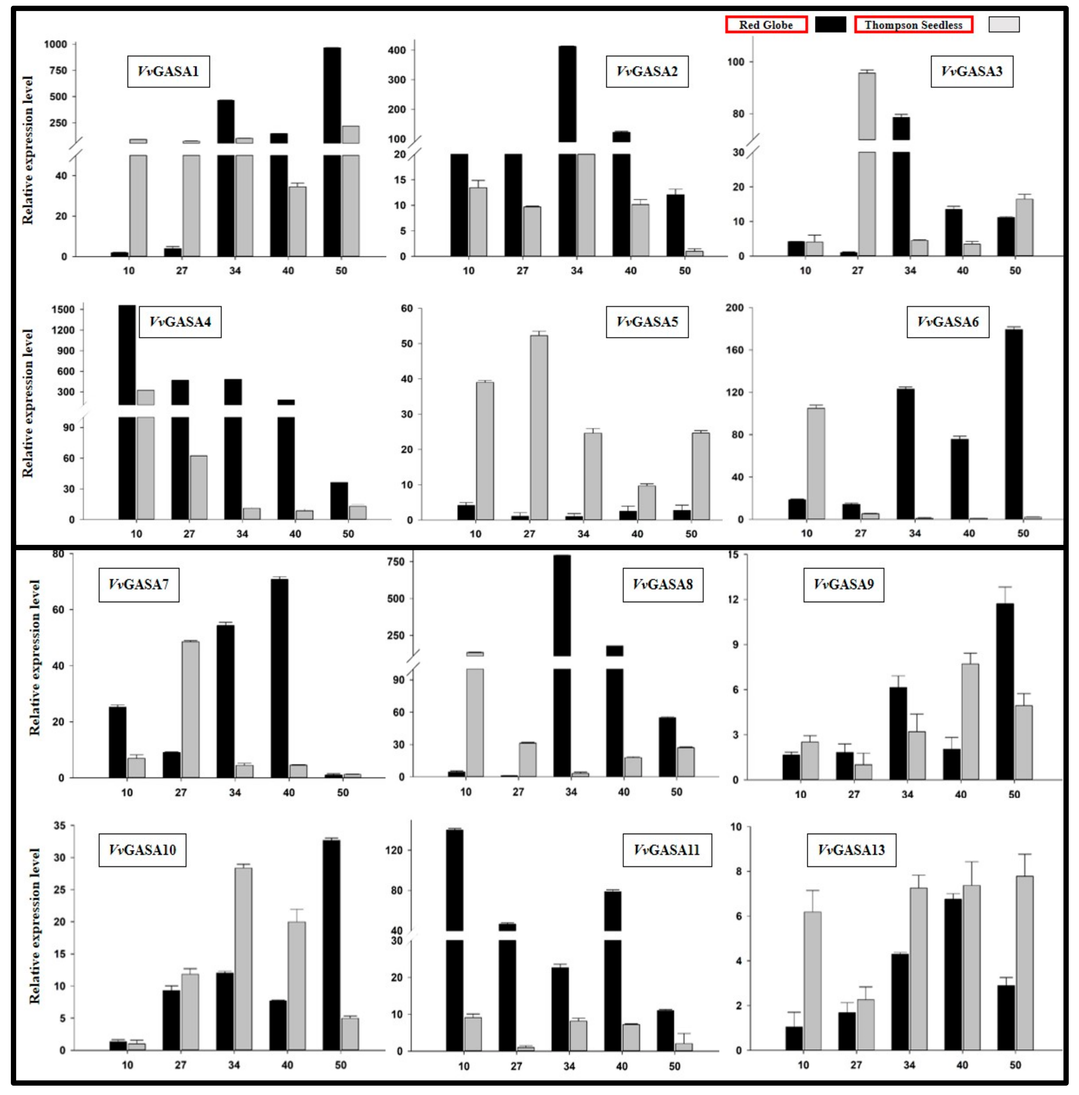 Ijms 21 01088 g005 Ijms 21 01088 g005