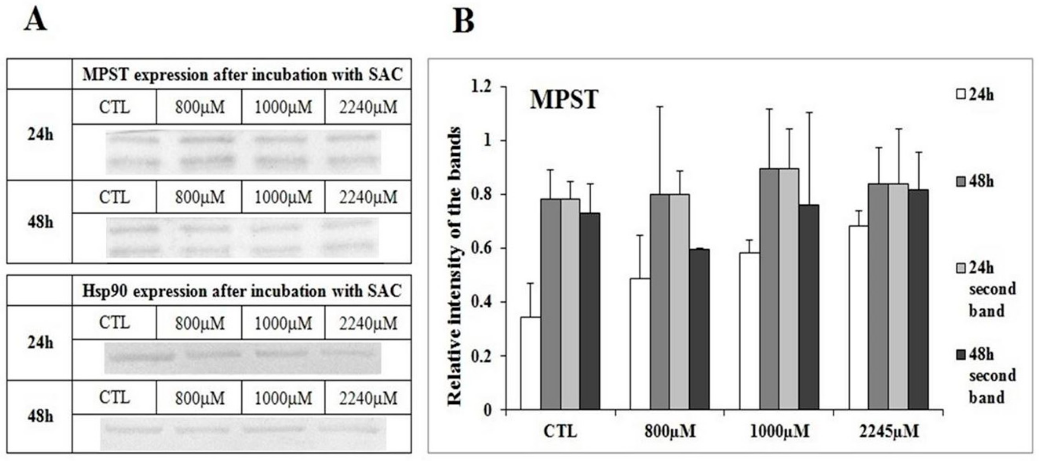 Ijms 21 01090 g004 Ijms 21 01090 g004