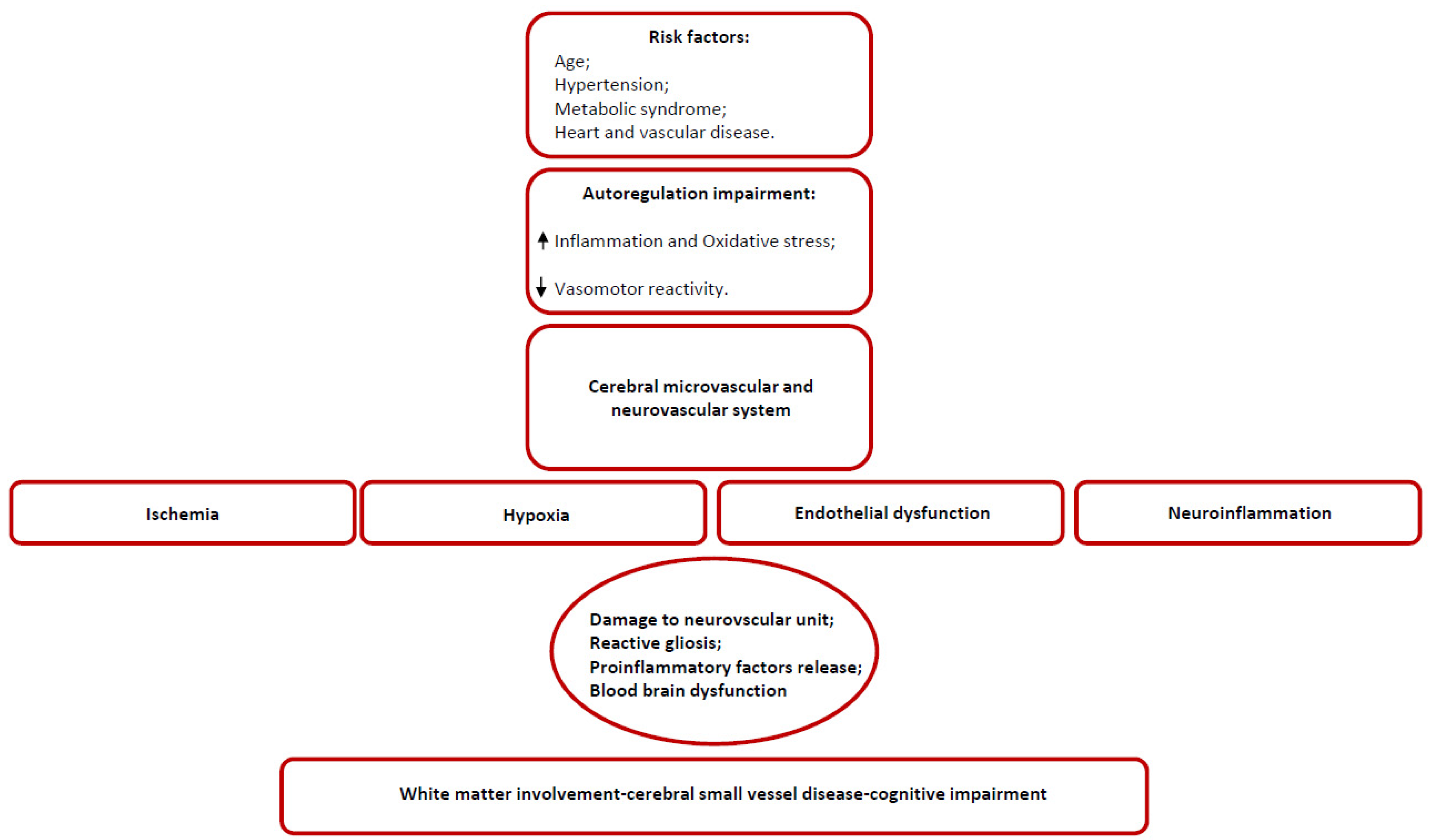 Ijms 21 01095 g001 Ijms 21 01095 g001