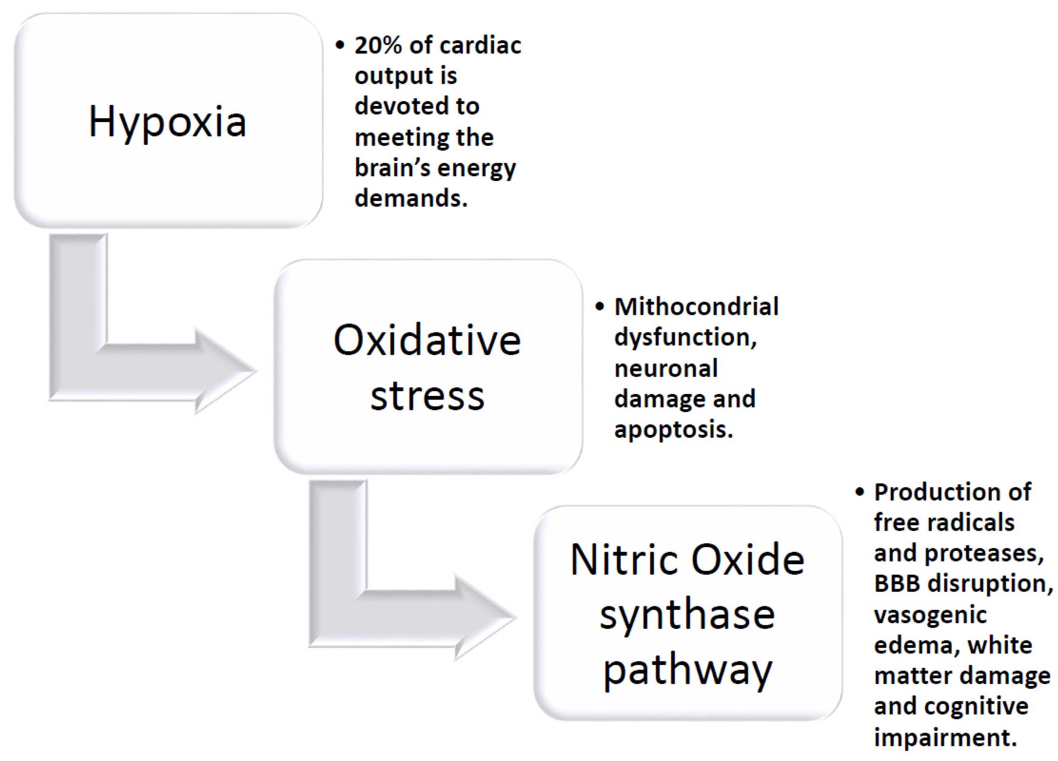 Ijms 21 01095 g003 Ijms 21 01095 g003