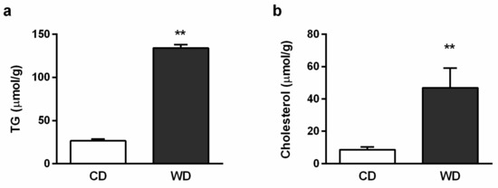 Ijms Free Full Text Adaptation Of Mitochondrial Substrate Flux In A Mouse Model Of Nonalcoholic Fatty Liver Disease Html Ijms Free Full Text Adaptation Of Mitochondrial Substrate Flux In A Mouse Model Of Nonalcoholic Fatty Liver Disease Html