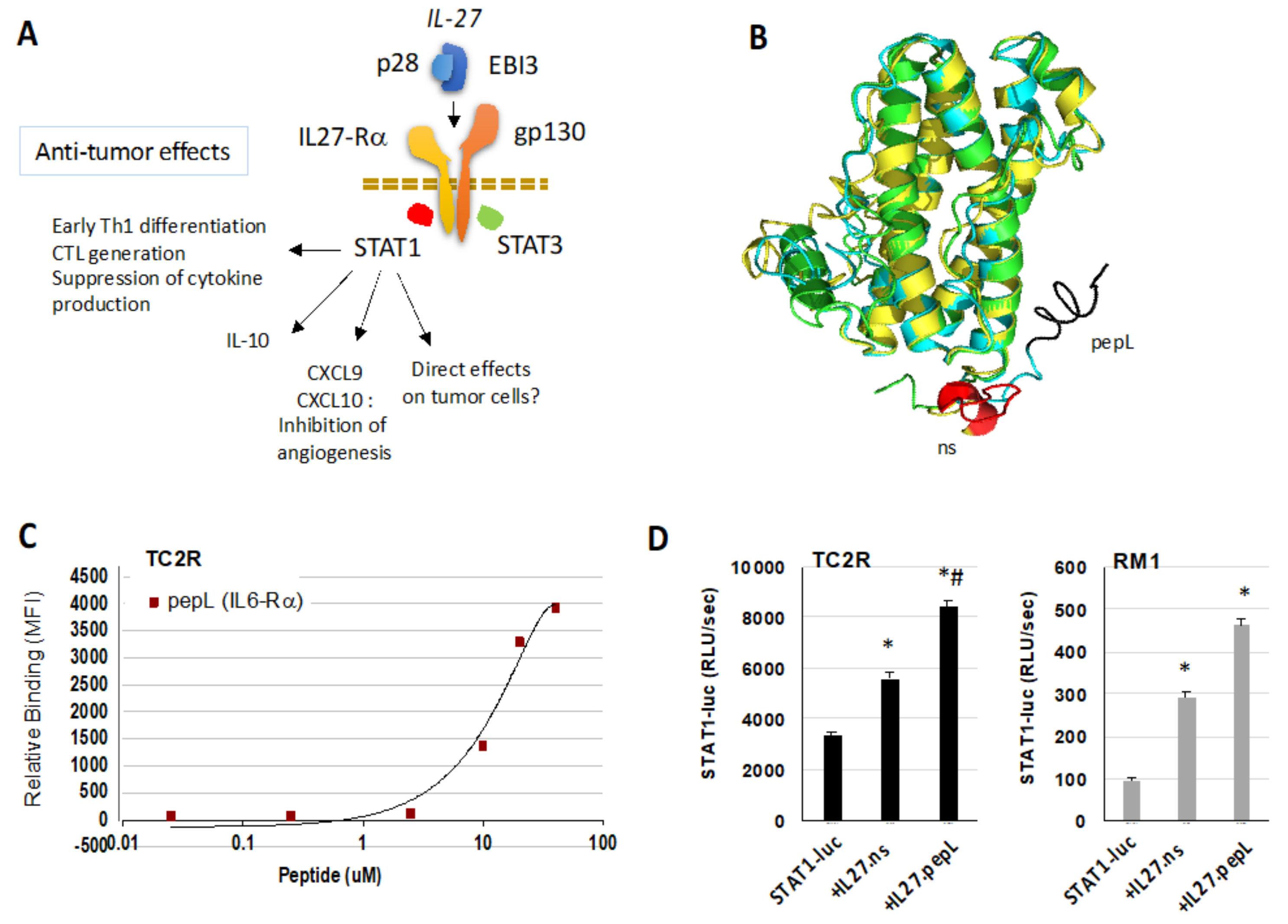 Ijms 21 01108 g001 Ijms 21 01108 g001