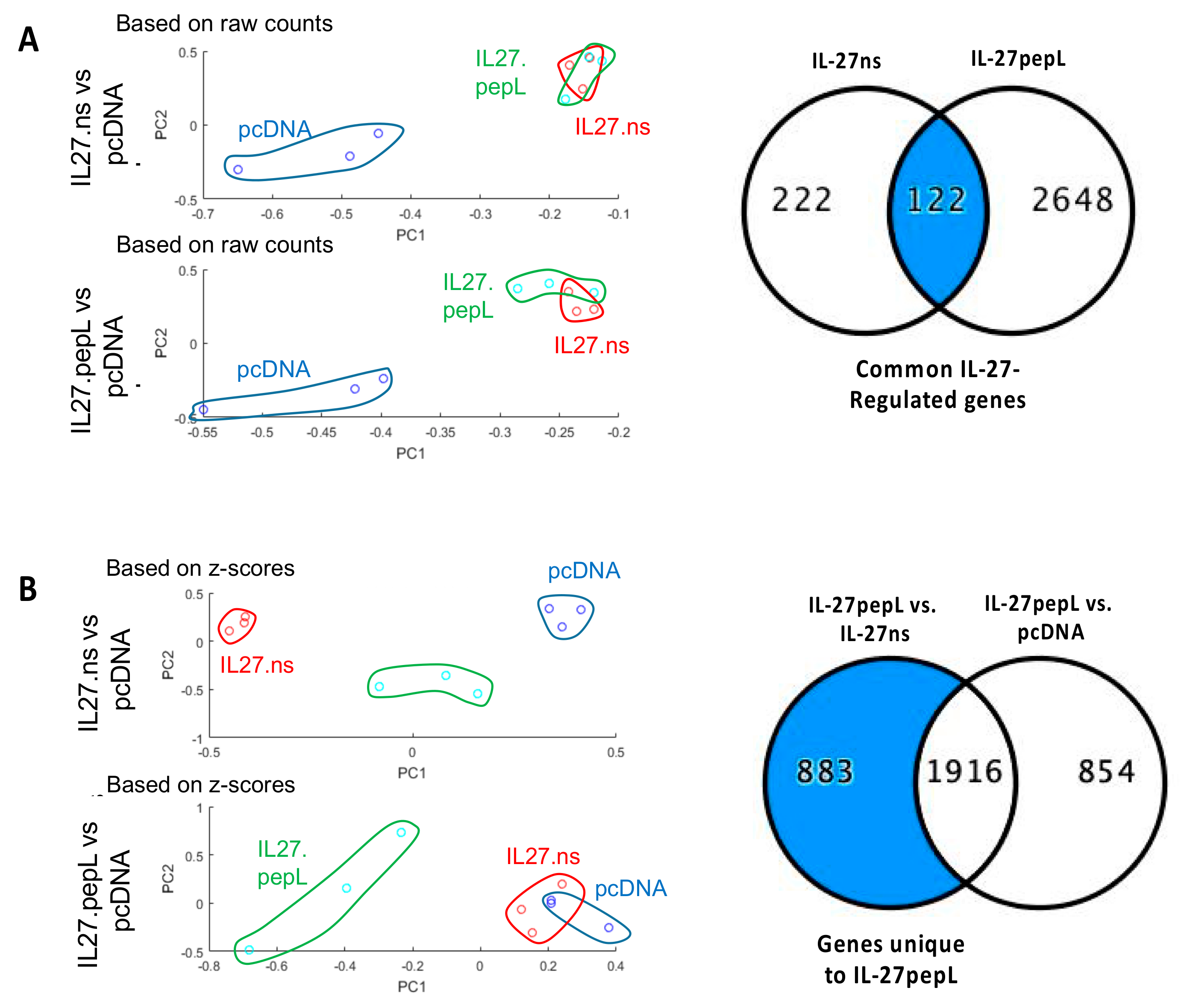 Ijms 21 01108 g002 Ijms 21 01108 g002