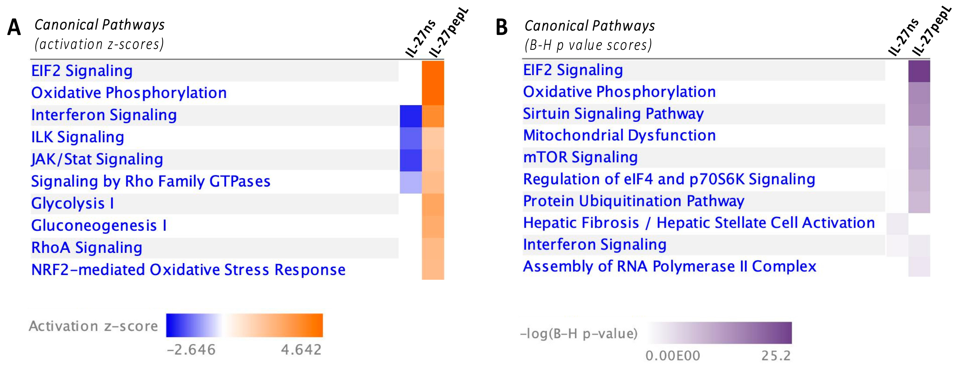 Ijms 21 01108 g004 Ijms 21 01108 g004