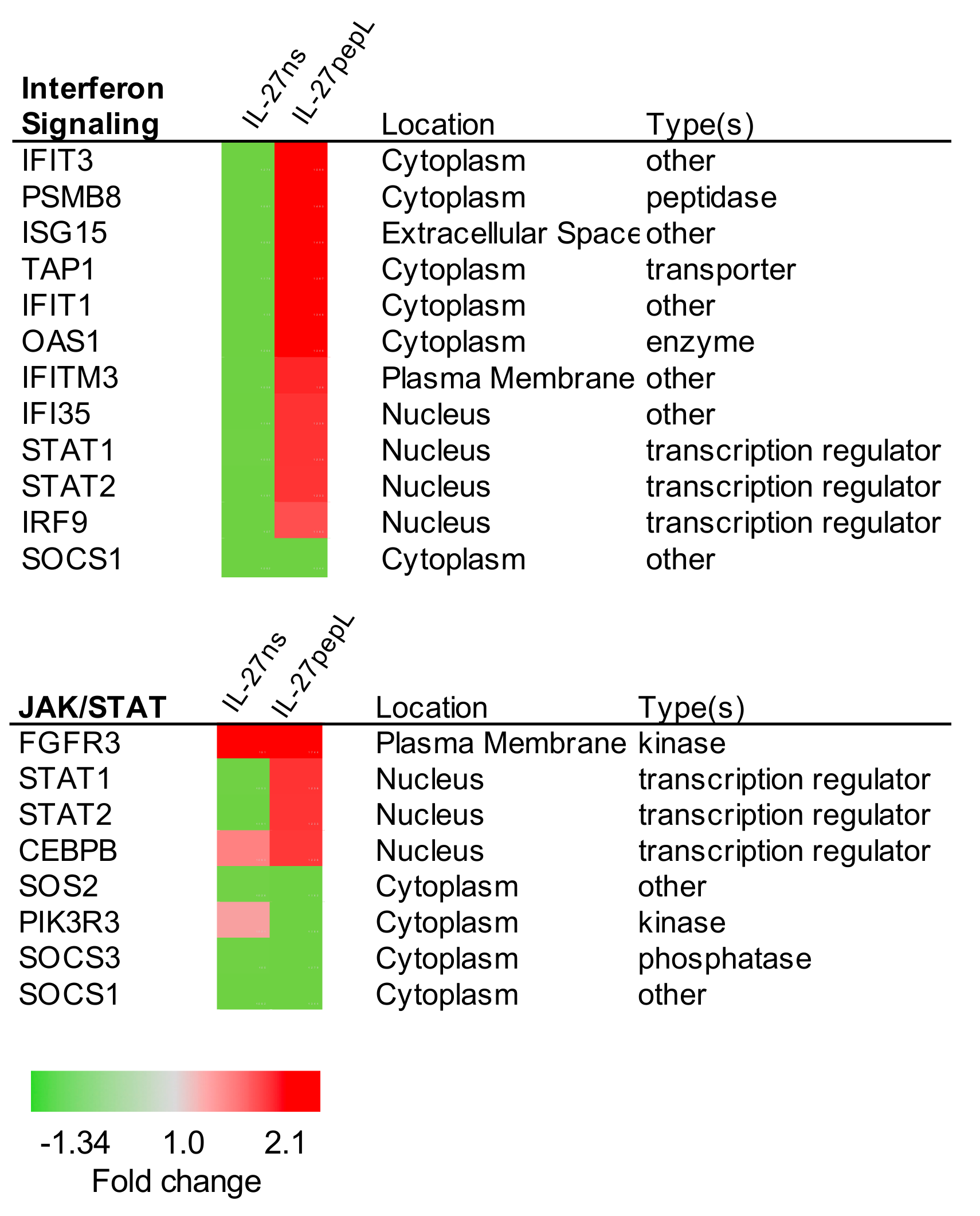 Ijms 21 01108 g005 Ijms 21 01108 g005