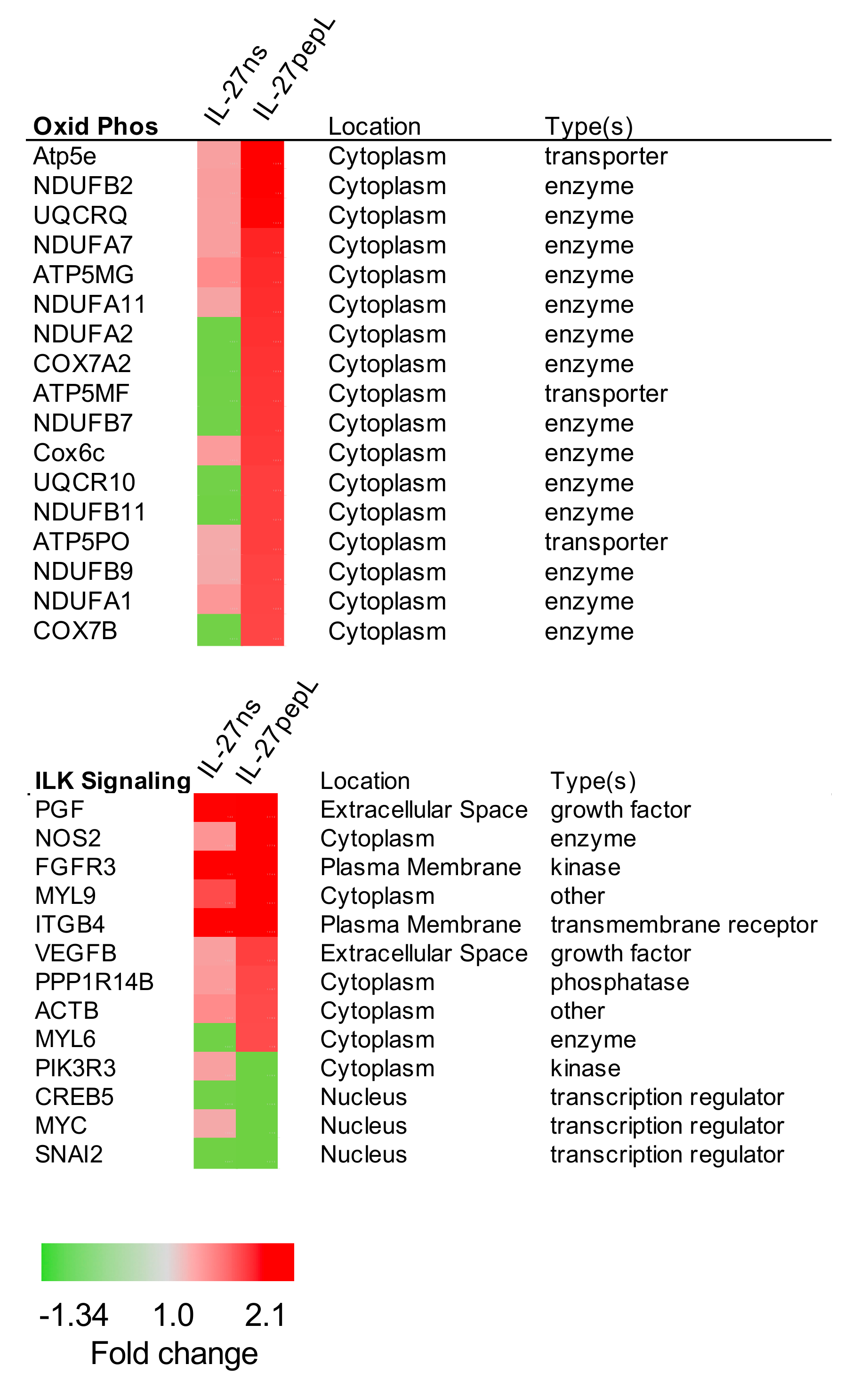 Ijms 21 01108 g006 Ijms 21 01108 g006