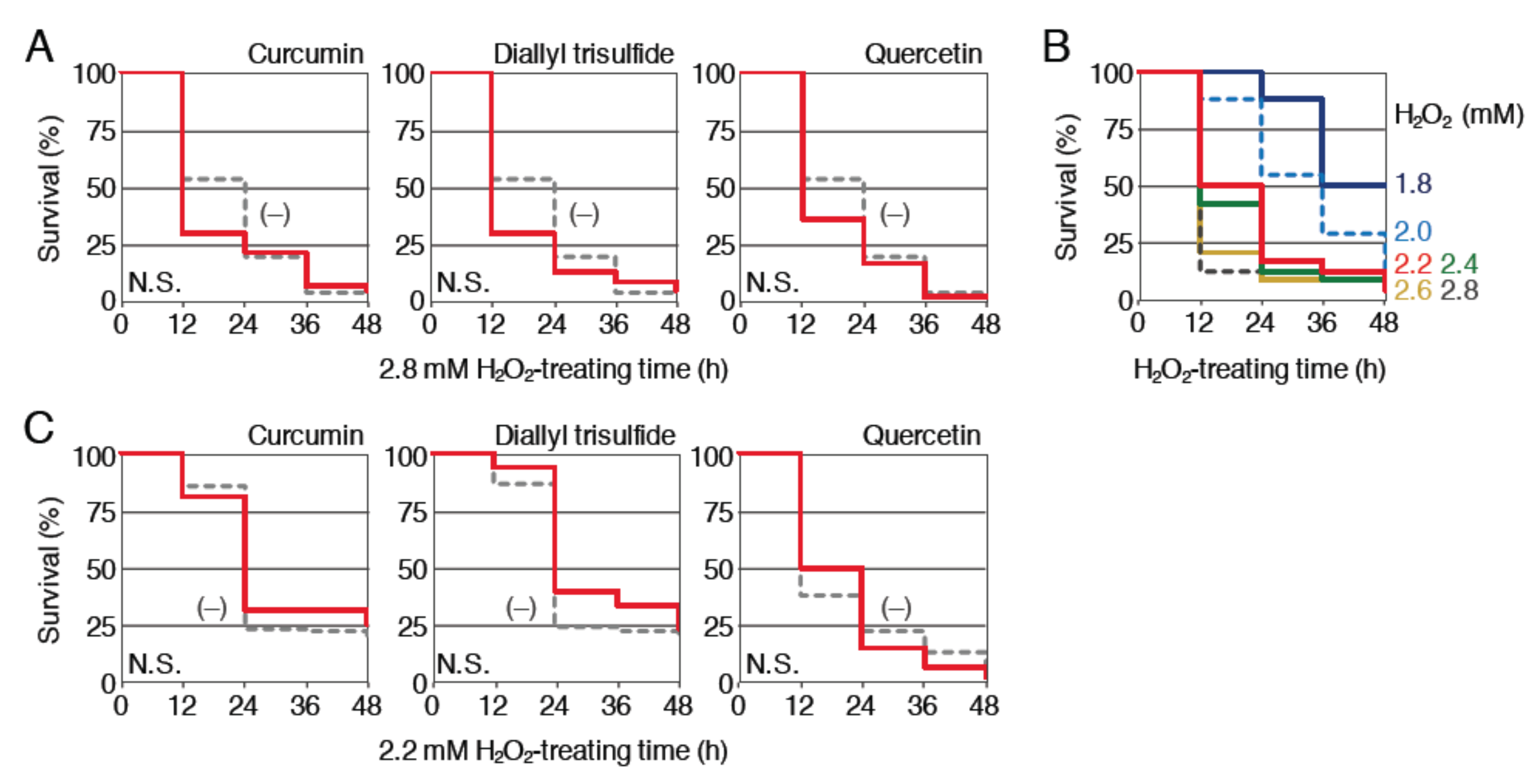 Ijms 21 01109 g004 Ijms 21 01109 g004