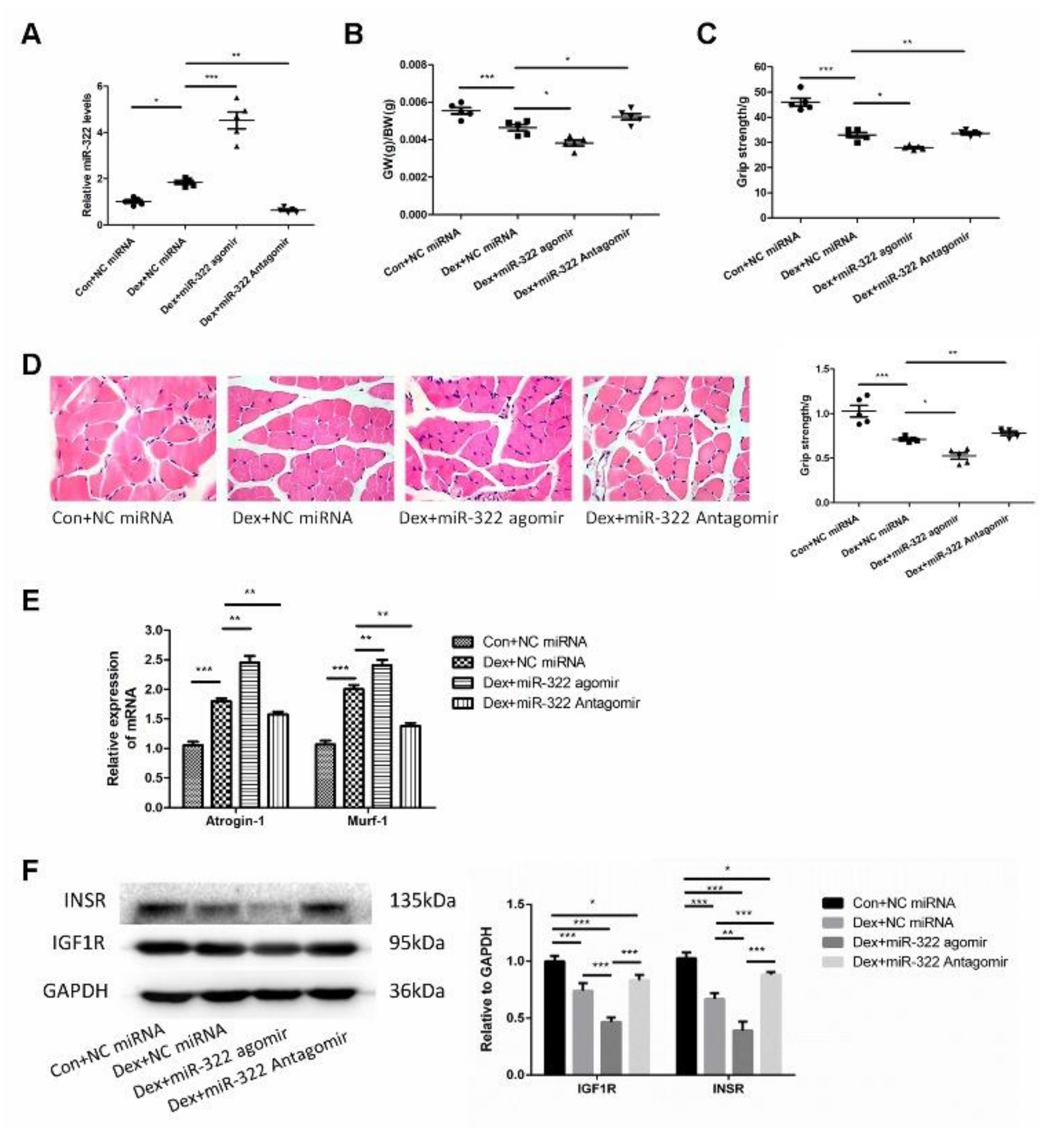 Ijms 21 01111 g006 Ijms 21 01111 g006