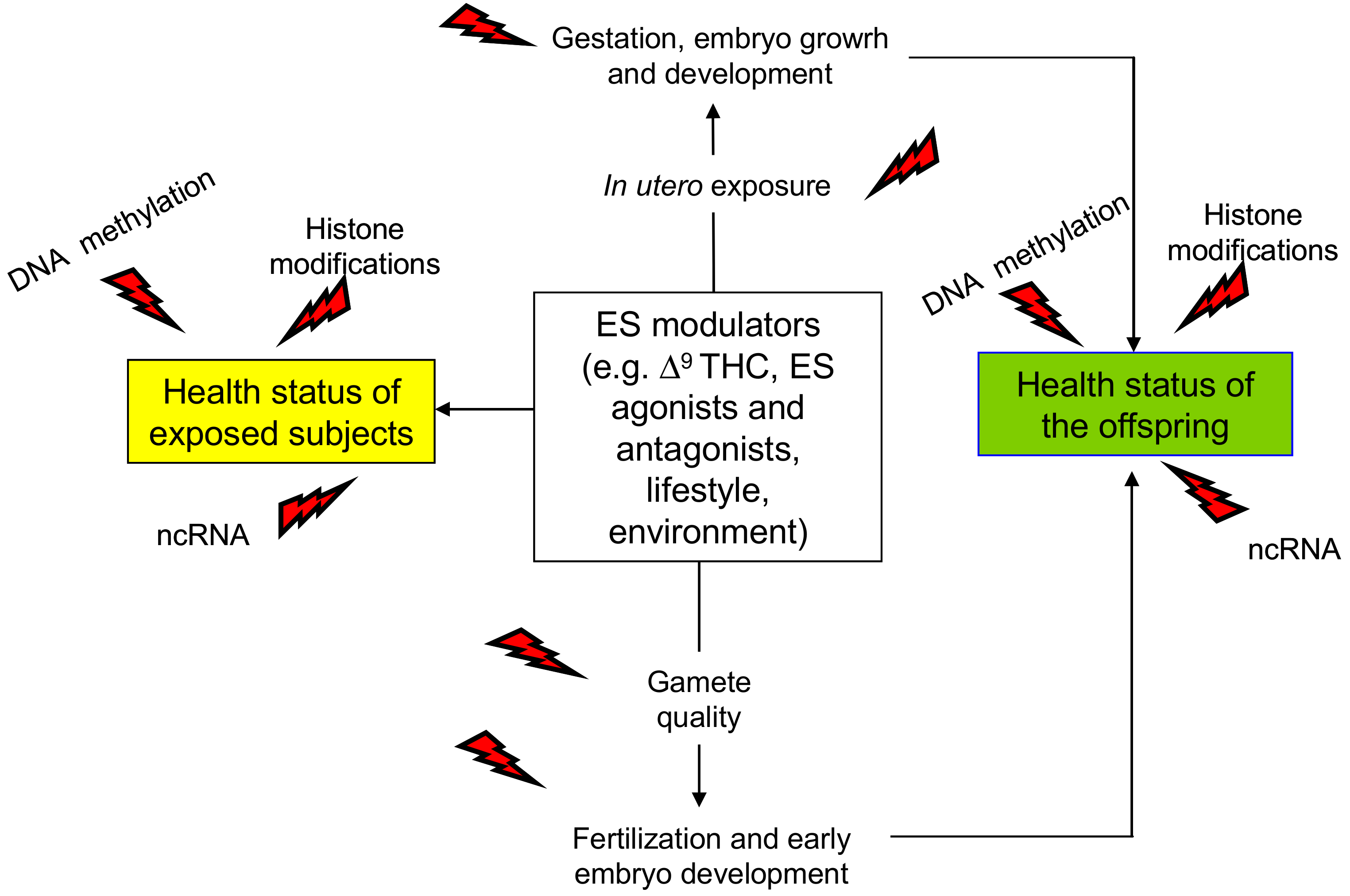Ijms 21 01113 g001 Ijms 21 01113 g001