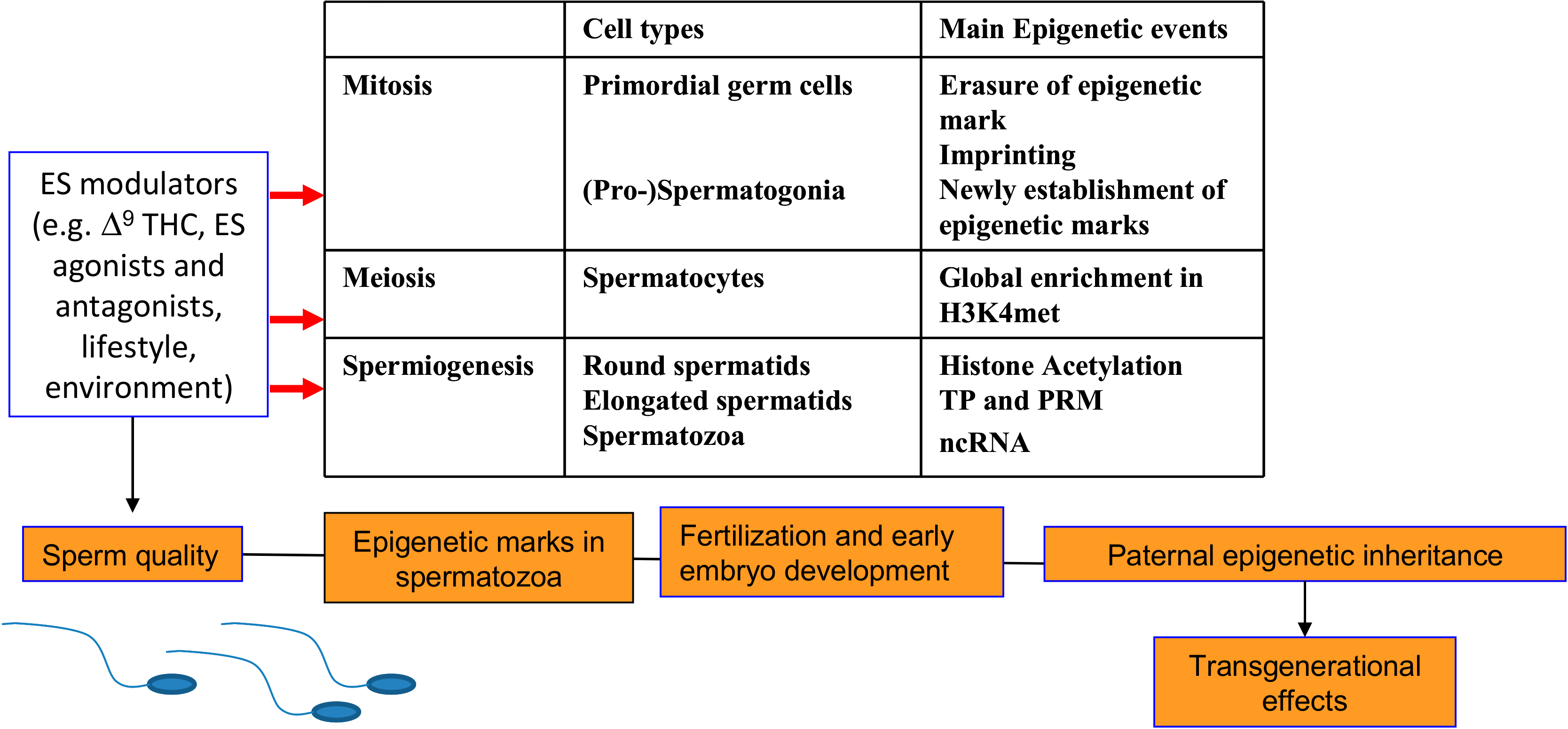Ijms 21 01113 g002 Ijms 21 01113 g002