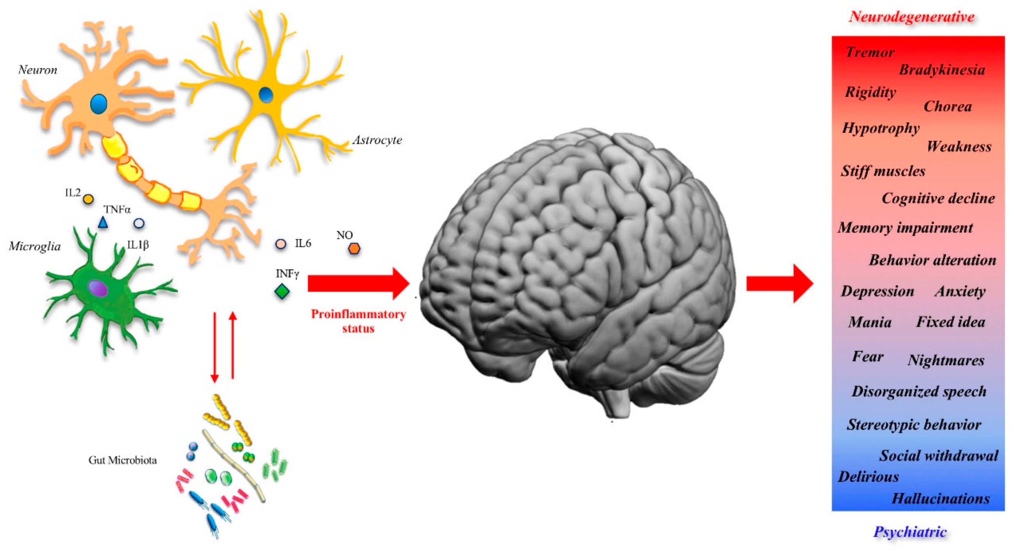 IJMS | Free Full-Text | Innate Immunity: A Common Denominator between  Neurodegenerative and Neuropsychiatric Diseases | HTML