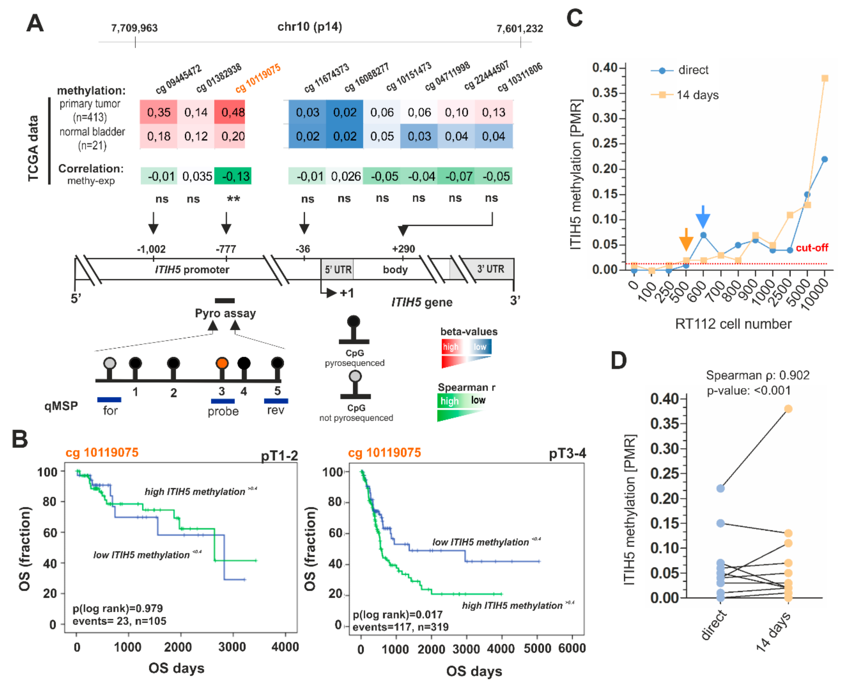 Ijms 21 01117 g002 Ijms 21 01117 g002
