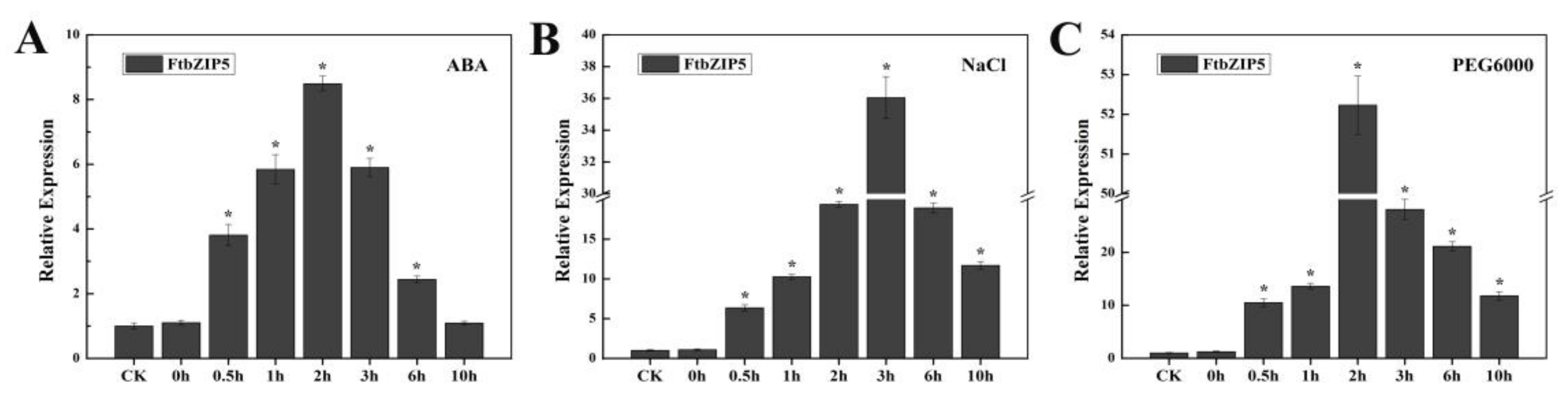 Ijms 21 01123 g002 Ijms 21 01123 g002