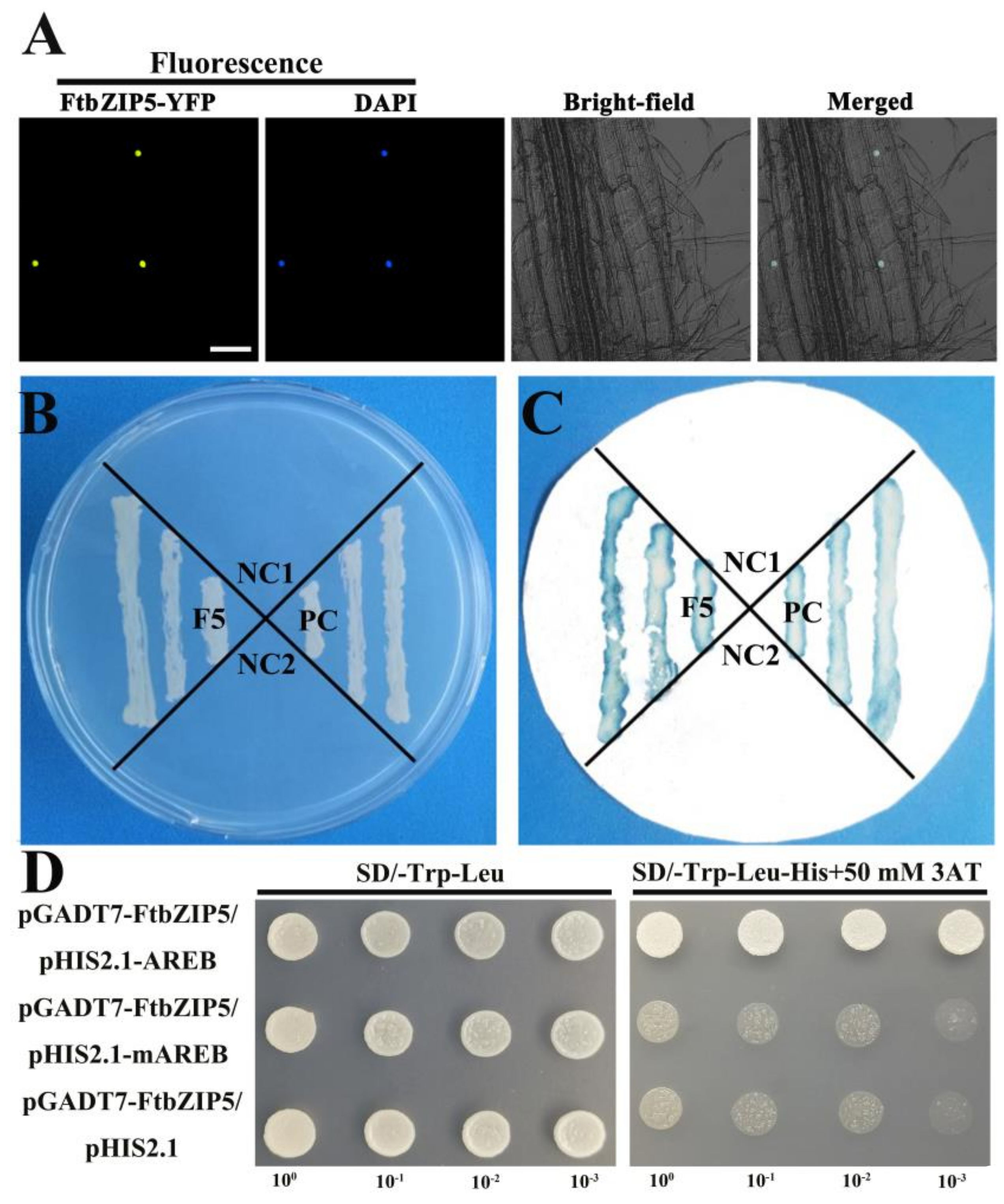 Ijms 21 01123 g003 Ijms 21 01123 g003