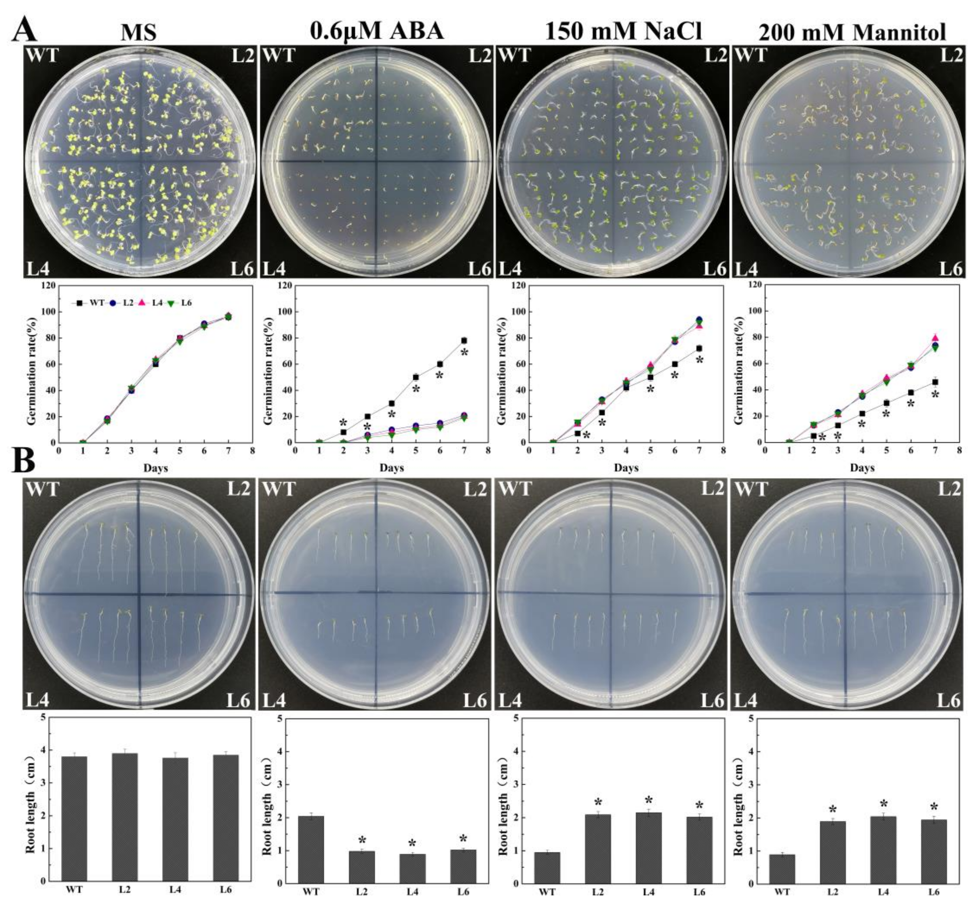Ijms 21 01123 g004 Ijms 21 01123 g004