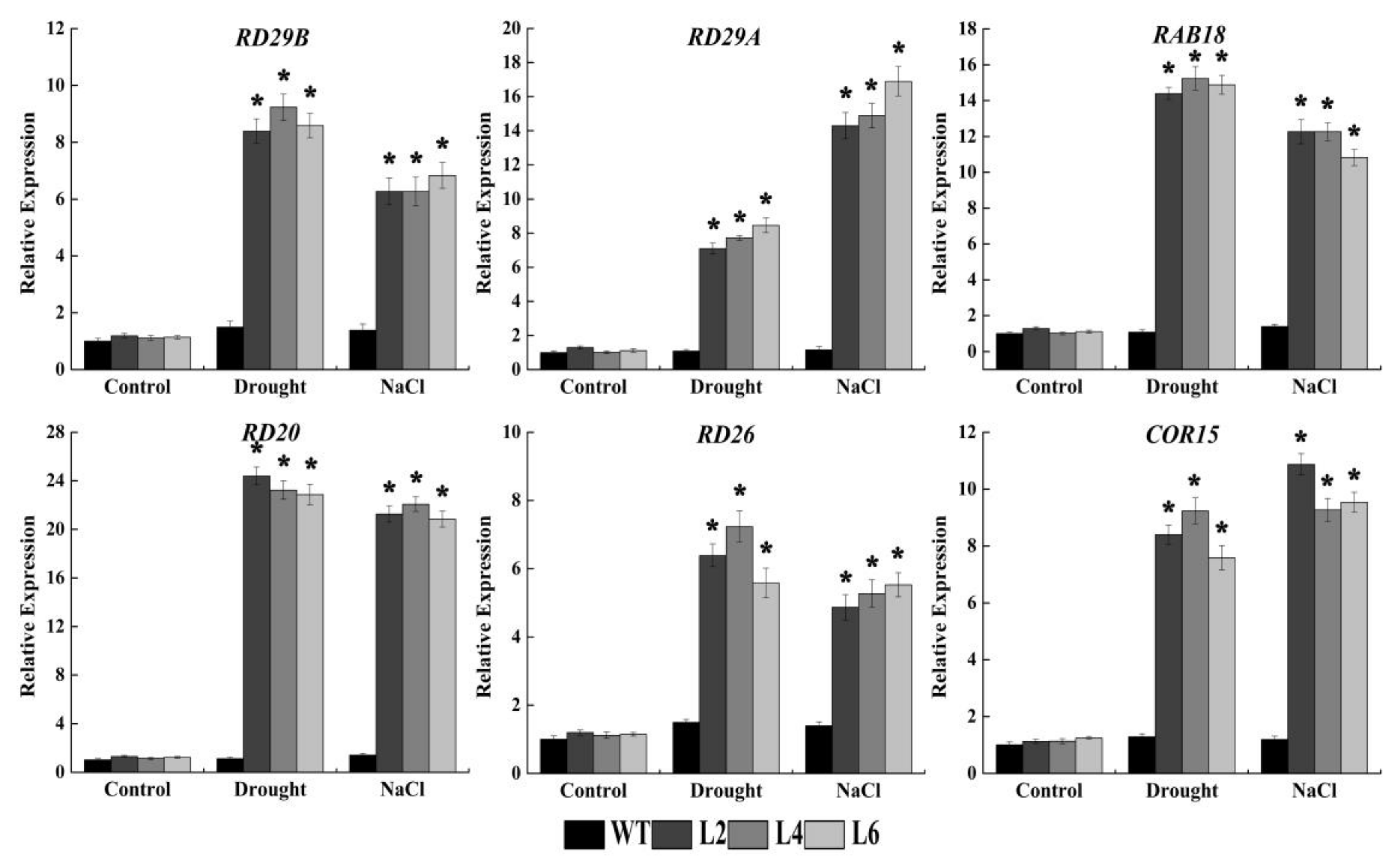 Ijms 21 01123 g009 Ijms 21 01123 g009