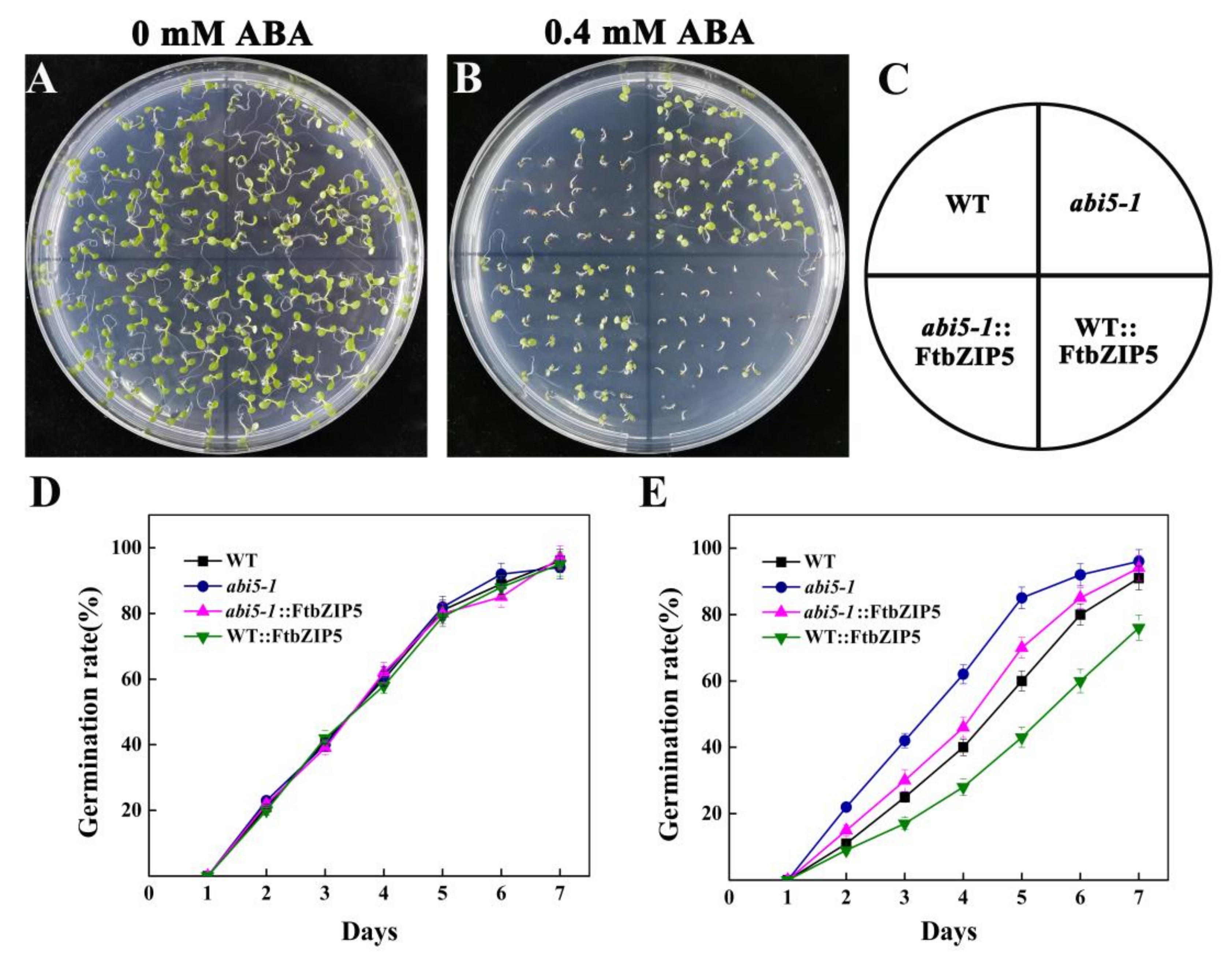 Ijms 21 01123 g010 Ijms 21 01123 g010