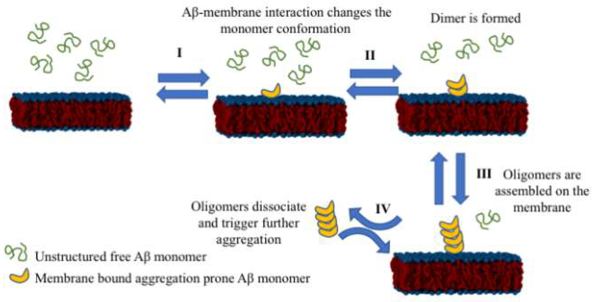 Ijms 21 01129 g009 Ijms 21 01129 g009