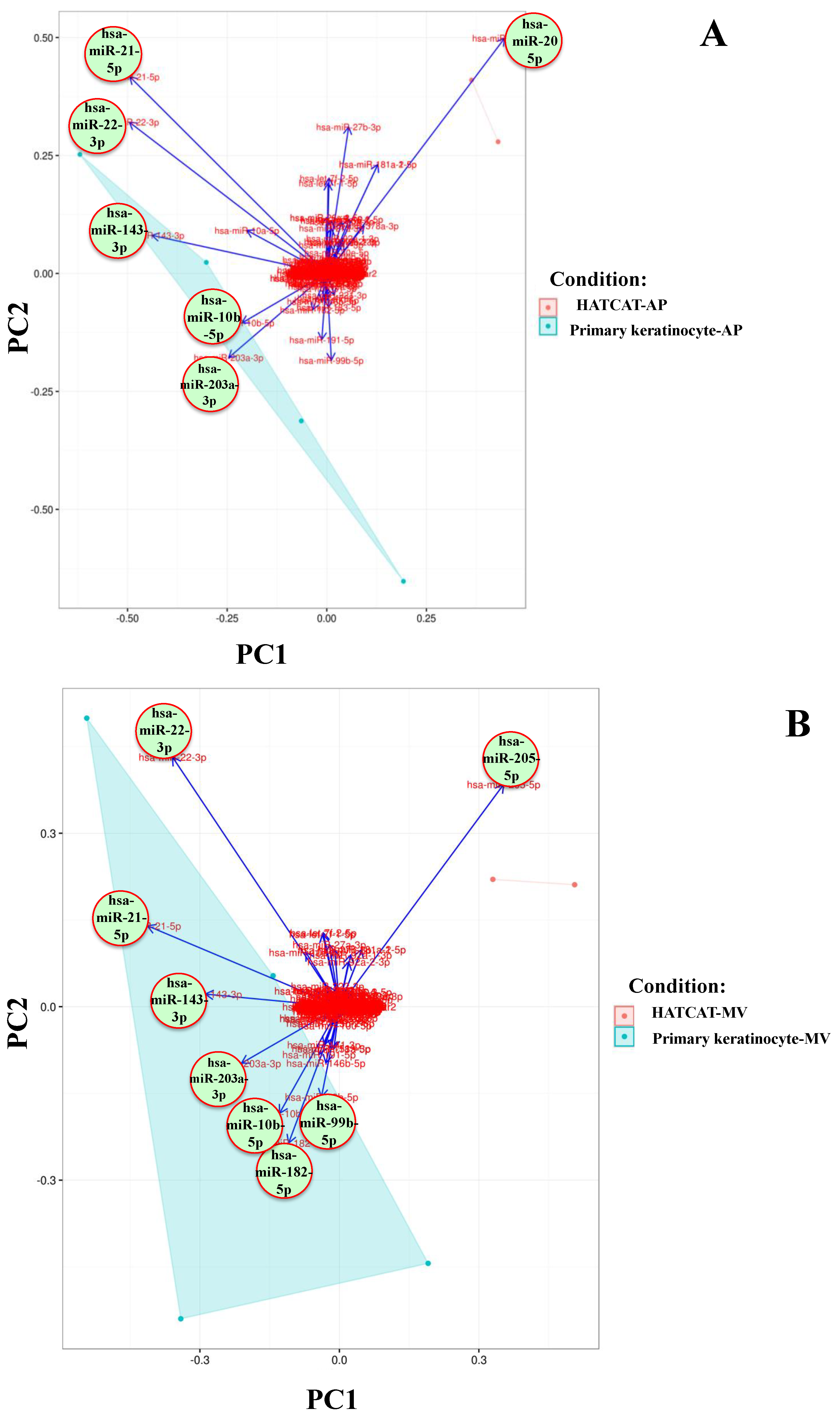 Ijms 21 01141 g001a Ijms 21 01141 g001a