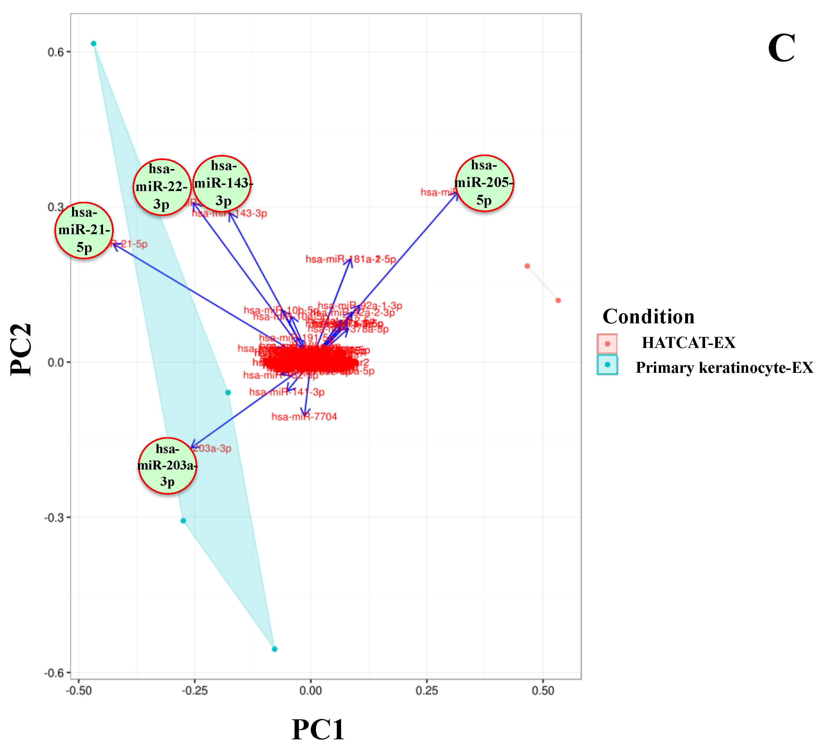 Ijms 21 01141 g001b Ijms 21 01141 g001b