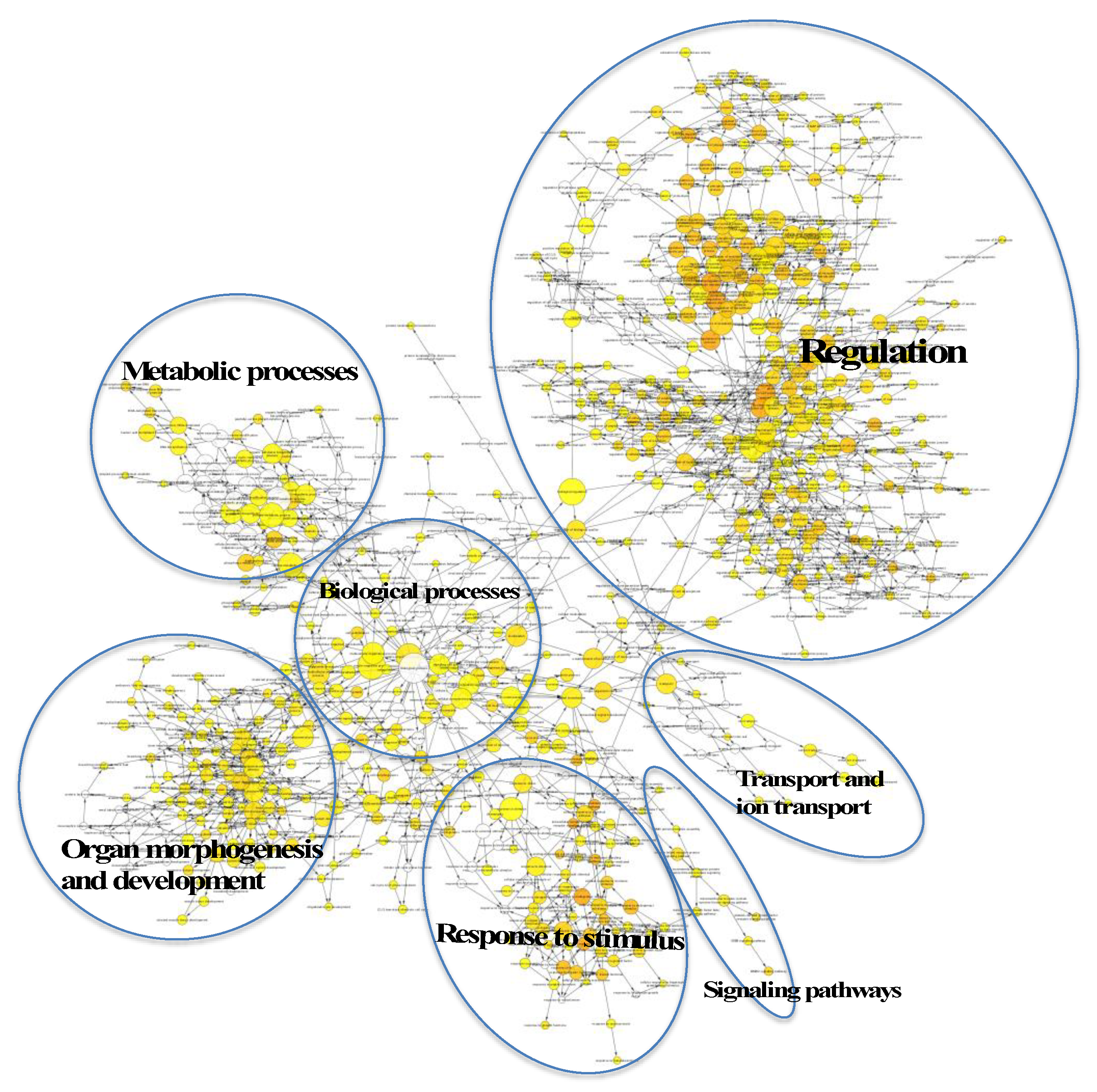 Ijms 21 01141 g003 Ijms 21 01141 g003