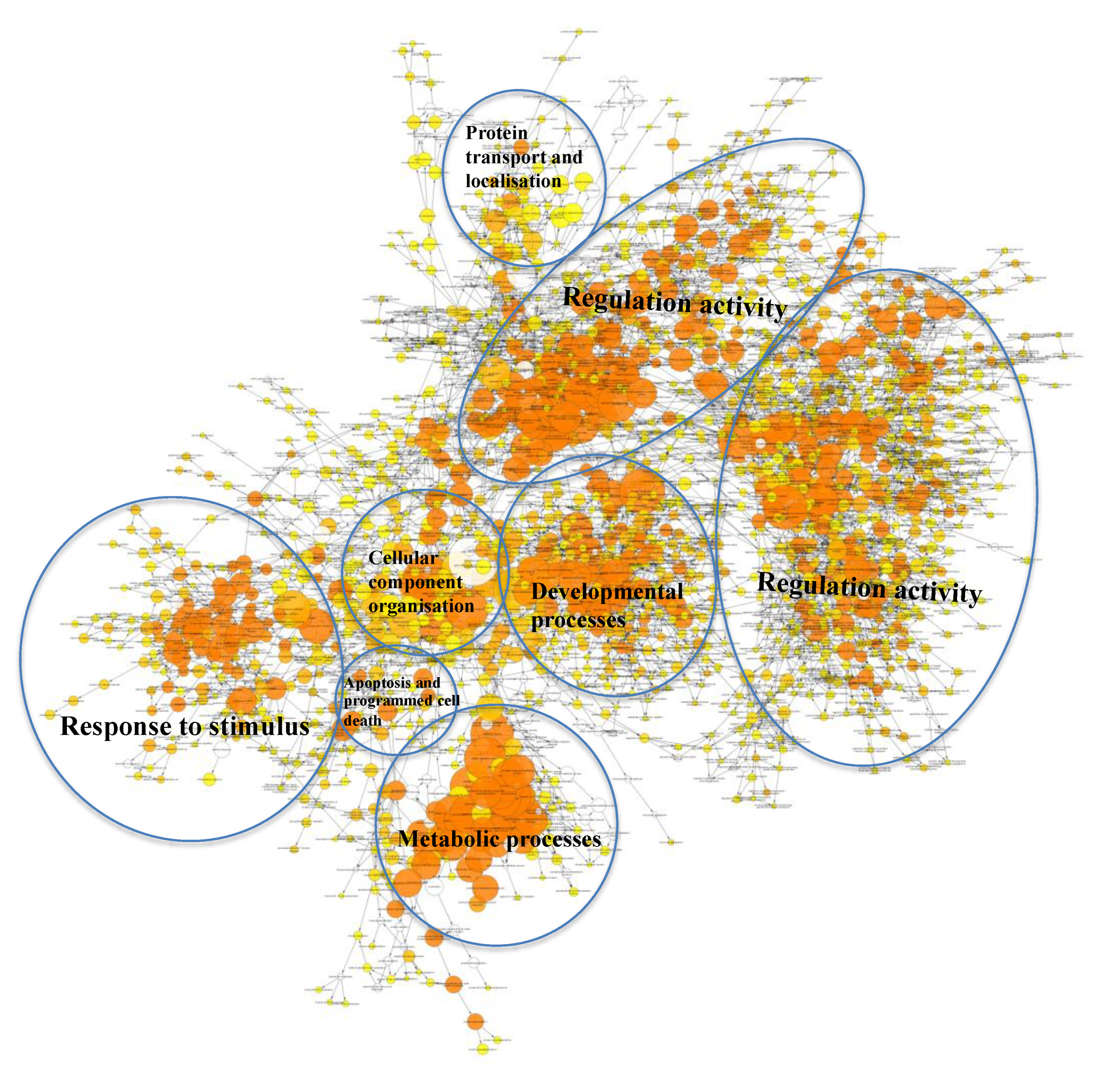 Ijms 21 01141 g004 Ijms 21 01141 g004