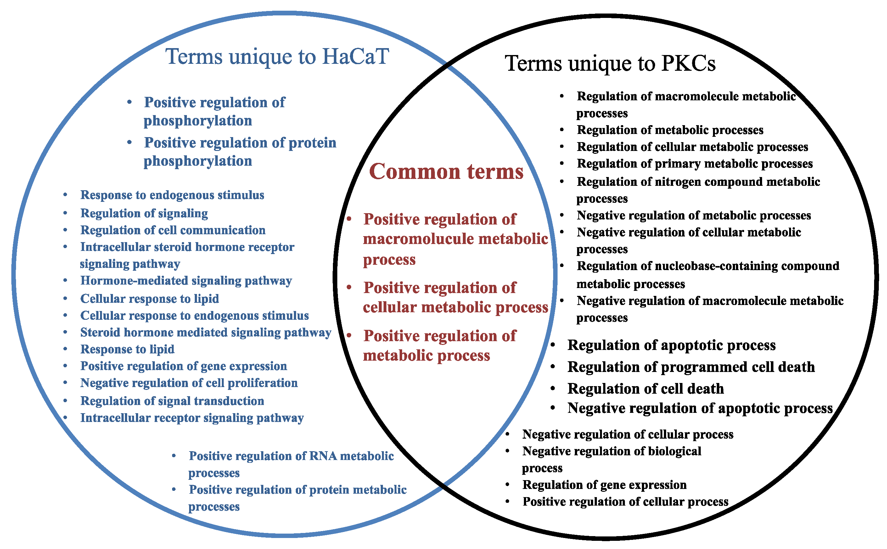 Ijms 21 01141 g005 Ijms 21 01141 g005