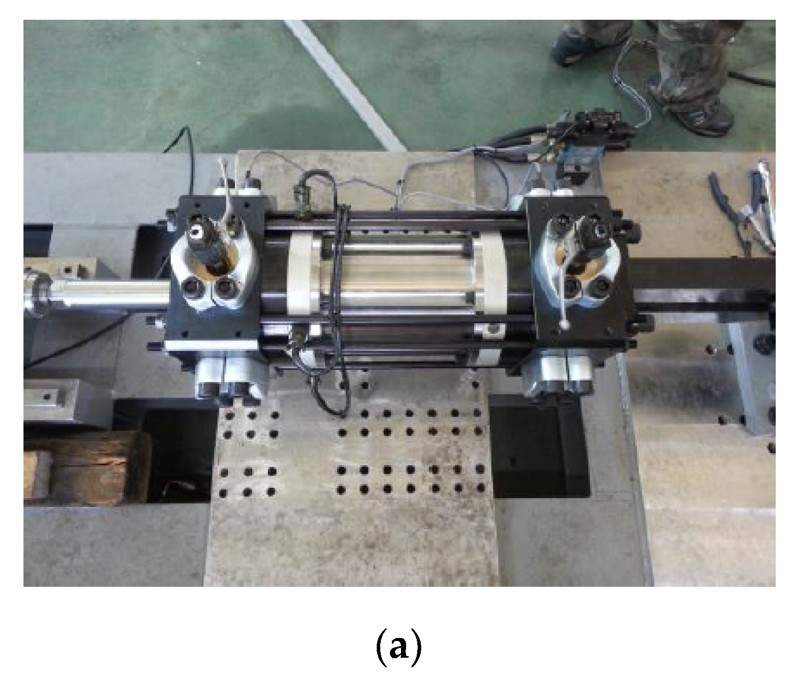 Ijms 21 01149 g004a Ijms 21 01149 g004a