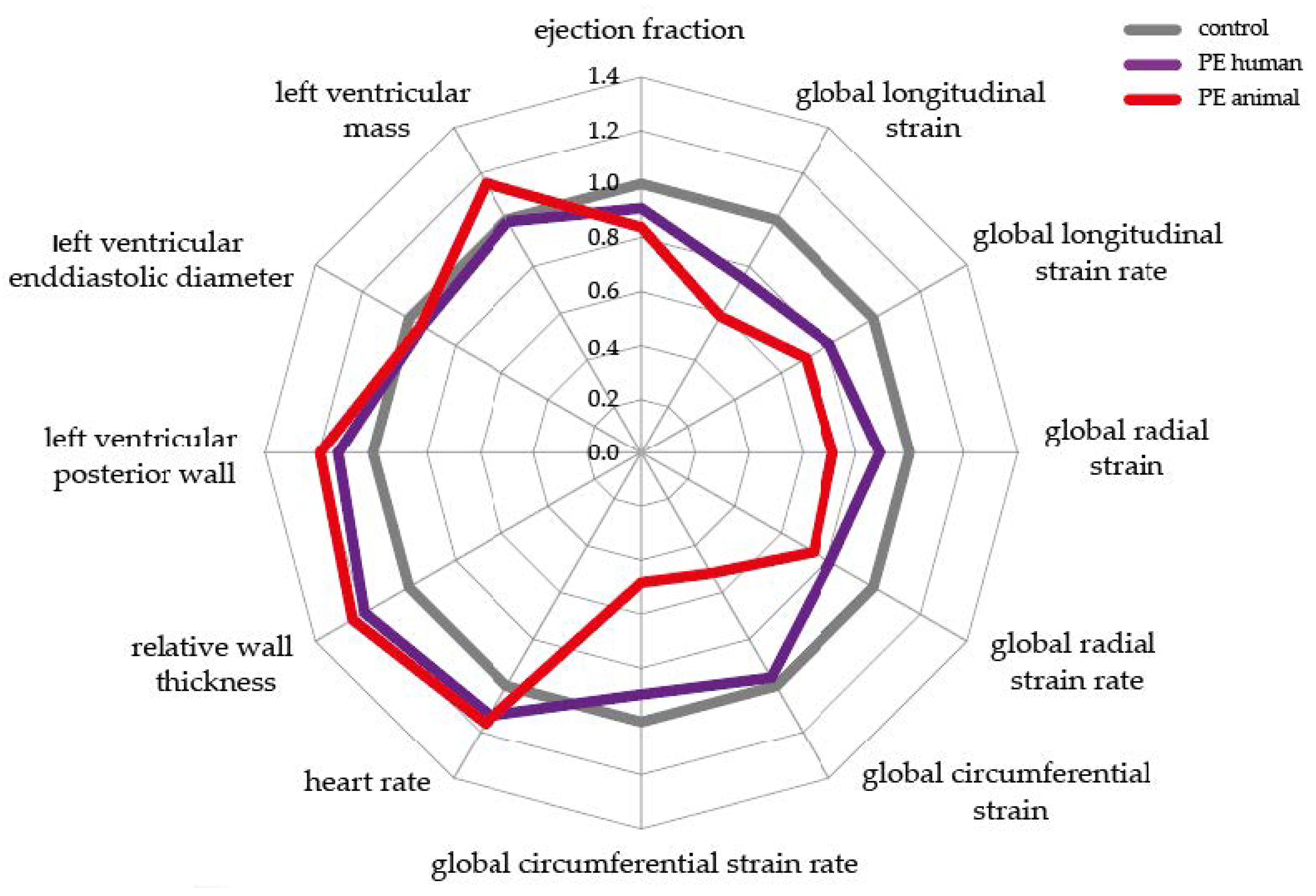 global longitudinal strain interpretation
