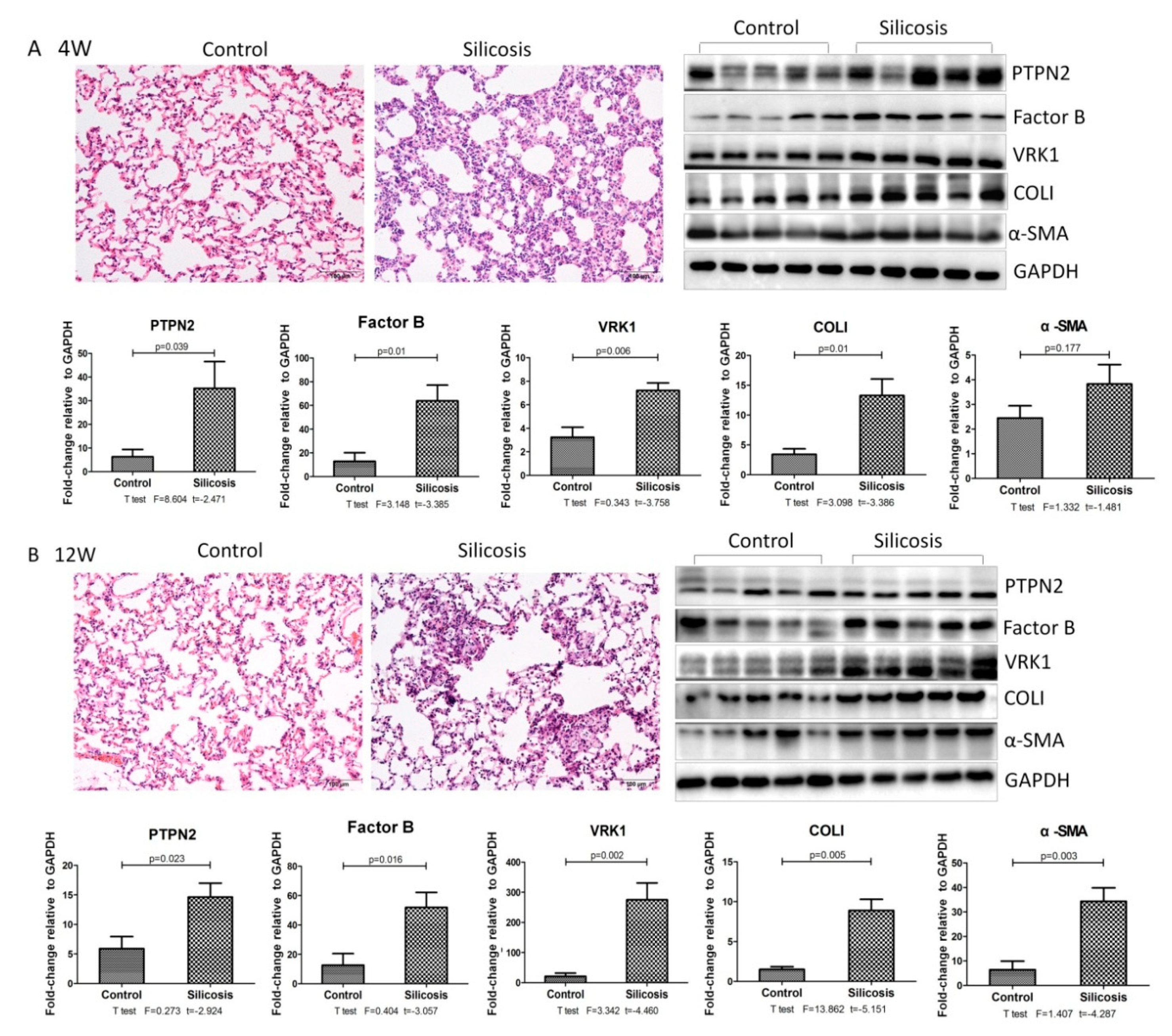 Ijms 21 01189 g002 Ijms 21 01189 g002