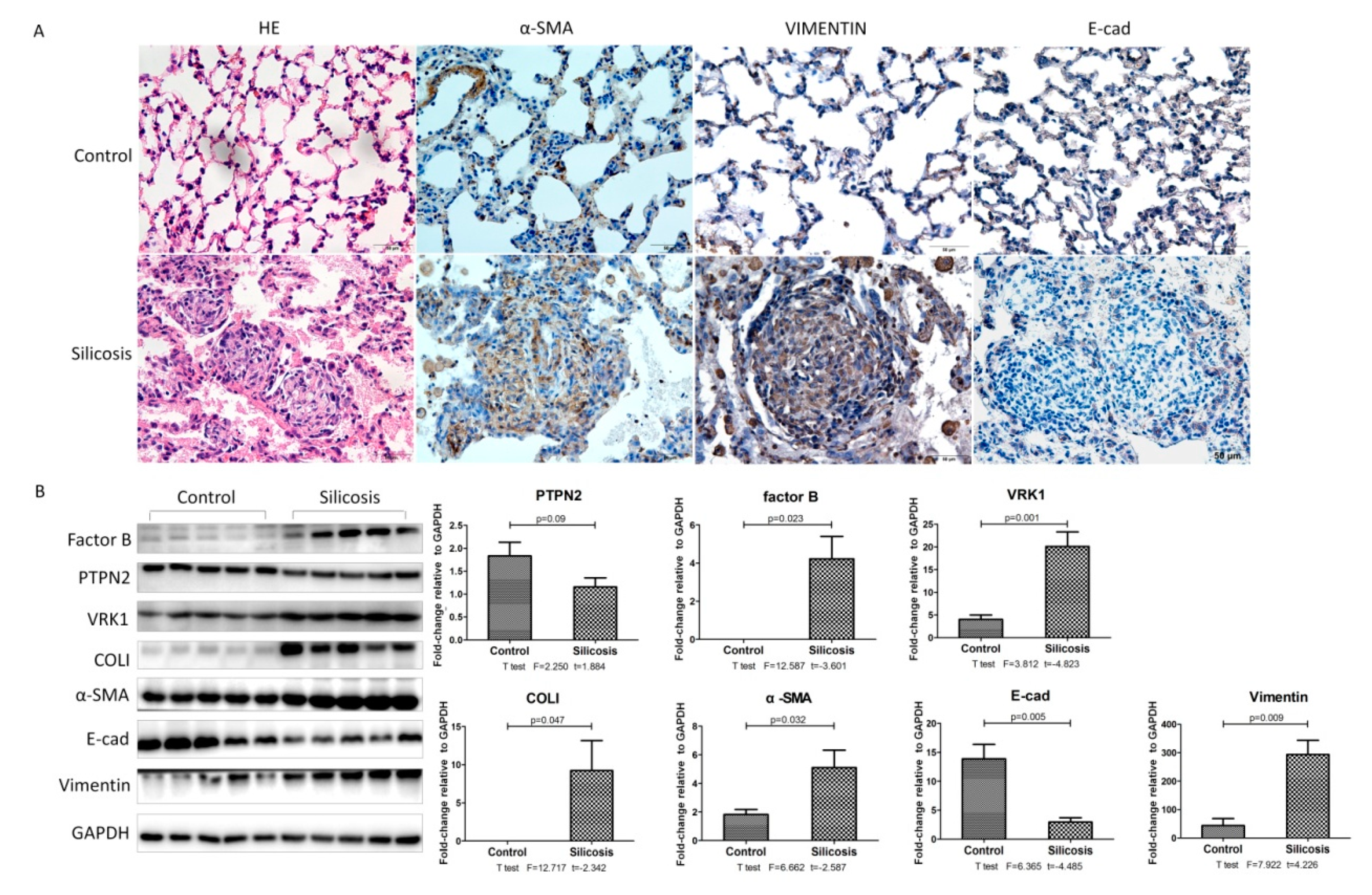 Ijms 21 01189 g003 Ijms 21 01189 g003