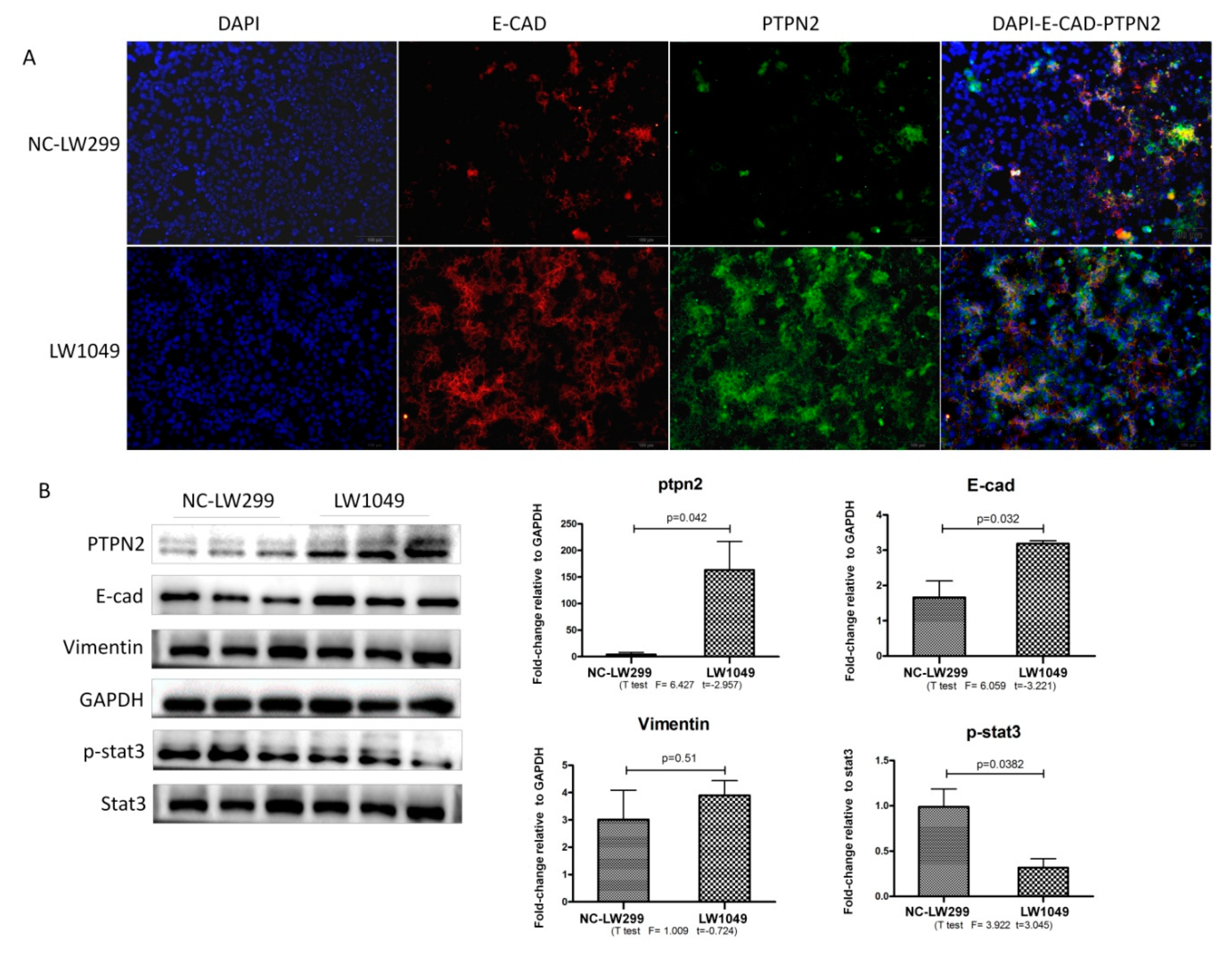 Ijms 21 01189 g005 Ijms 21 01189 g005