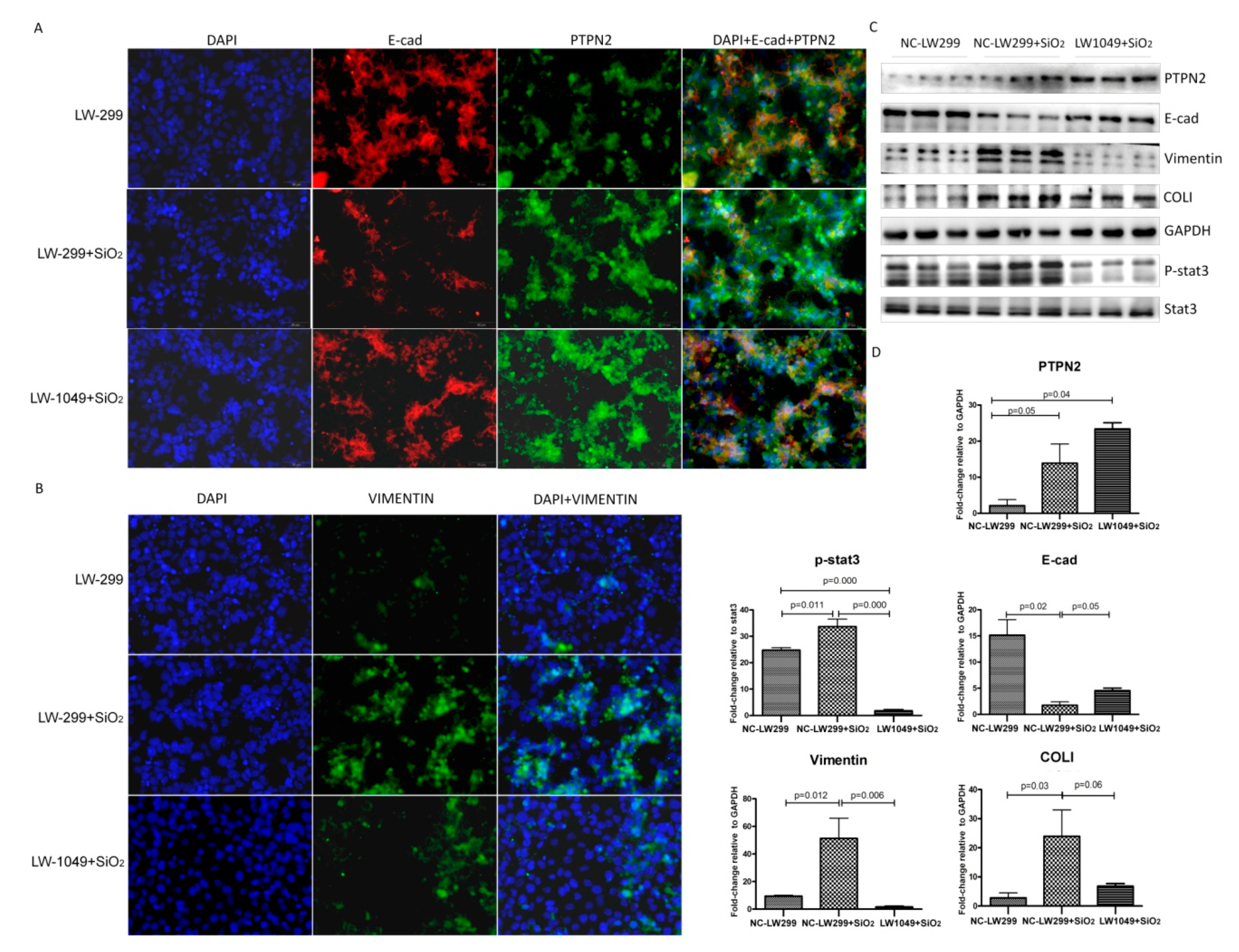 Ijms 21 01189 g006 Ijms 21 01189 g006