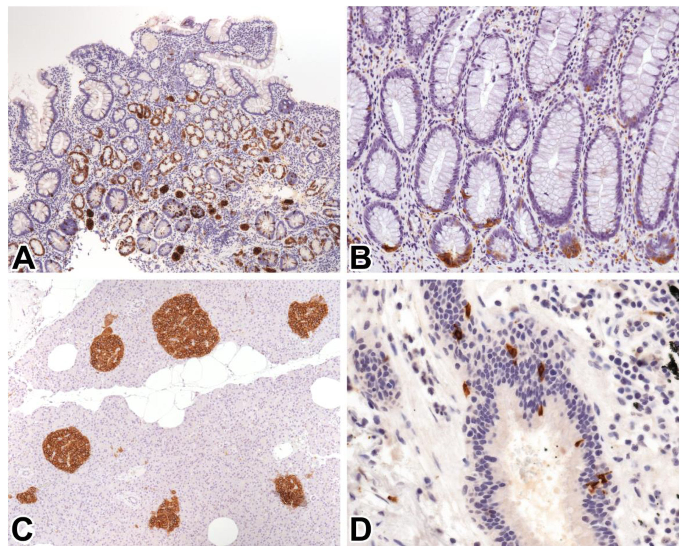 Ijms 21 01213 g001 Ijms 21 01213 g001