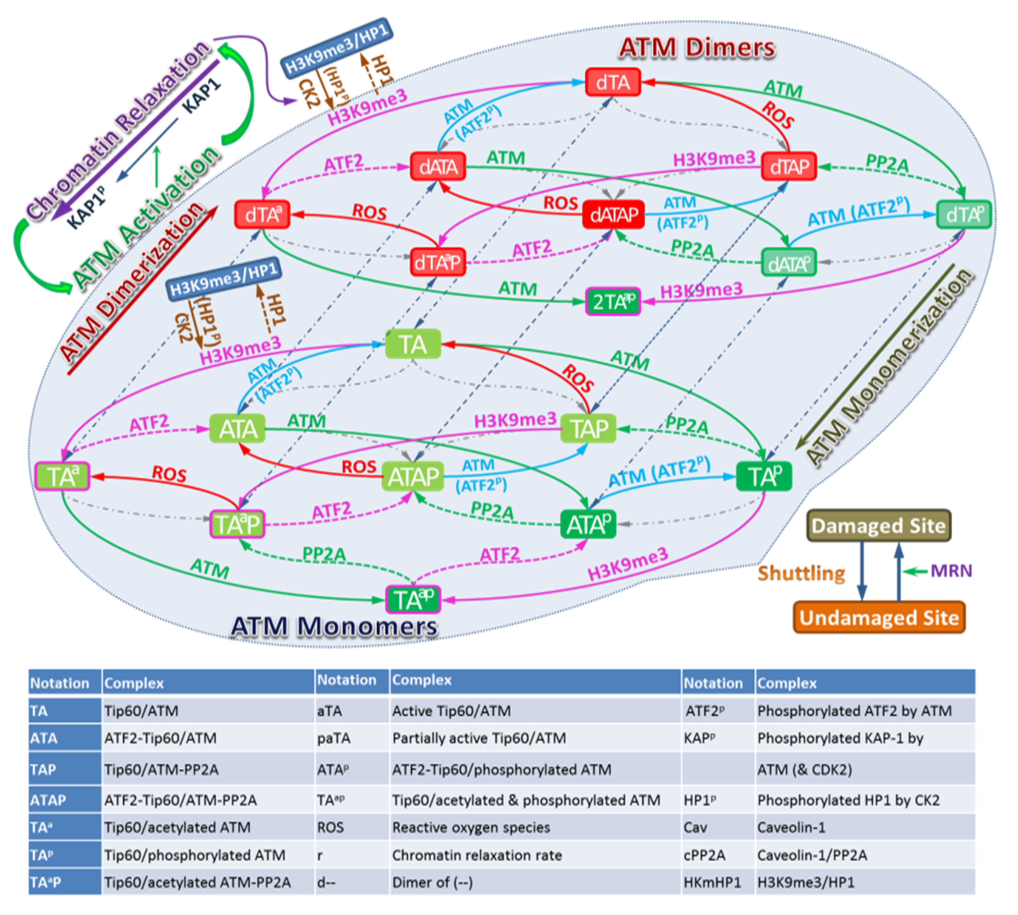 Ijms 21 01214 g002 Ijms 21 01214 g002