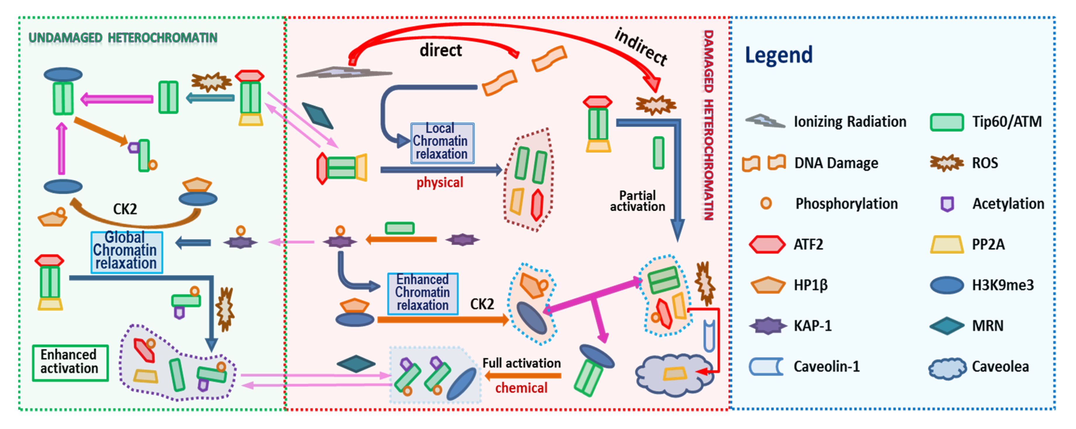 Ijms 21 01214 g003 Ijms 21 01214 g003