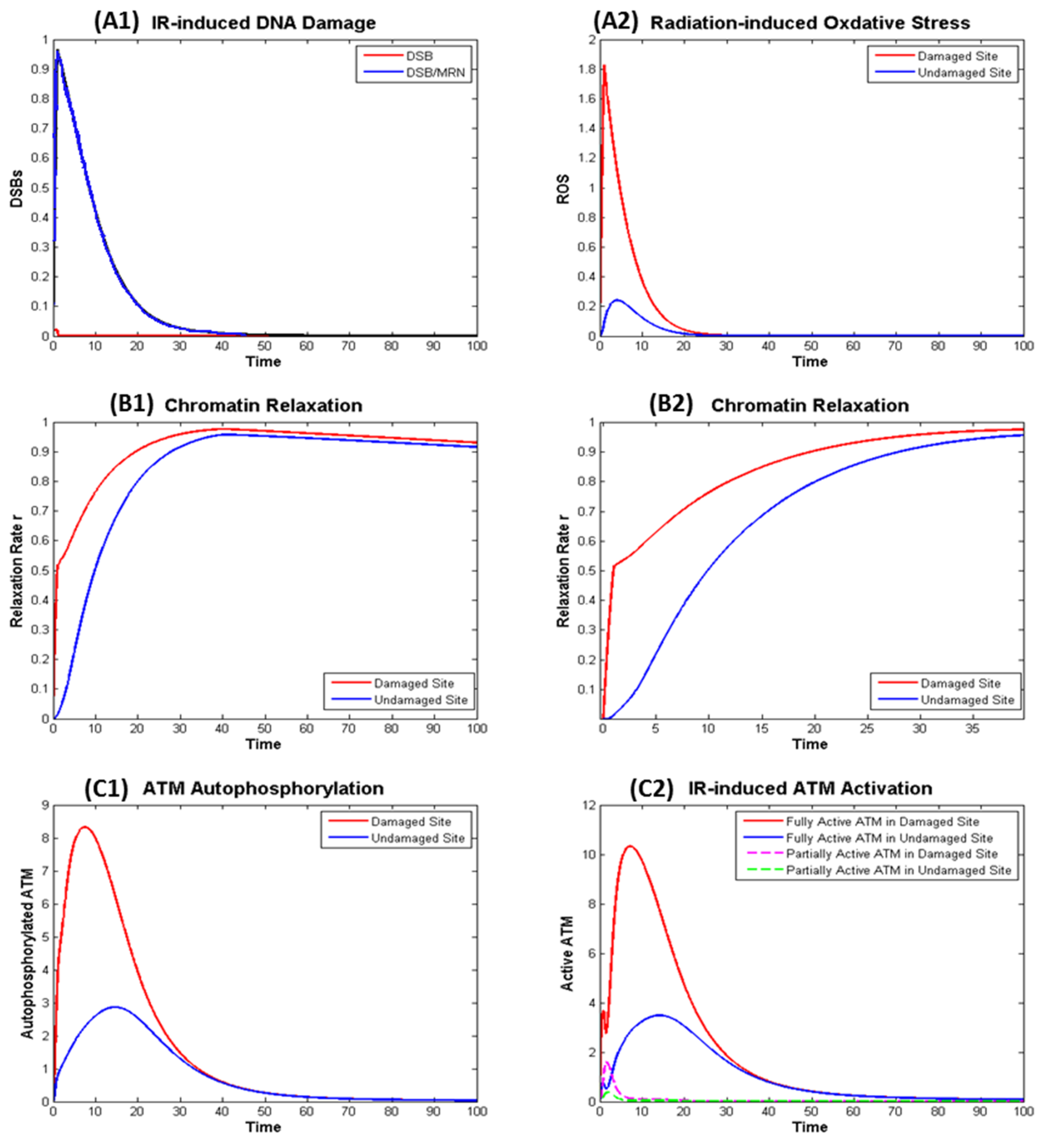 Ijms 21 01214 g004 Ijms 21 01214 g004