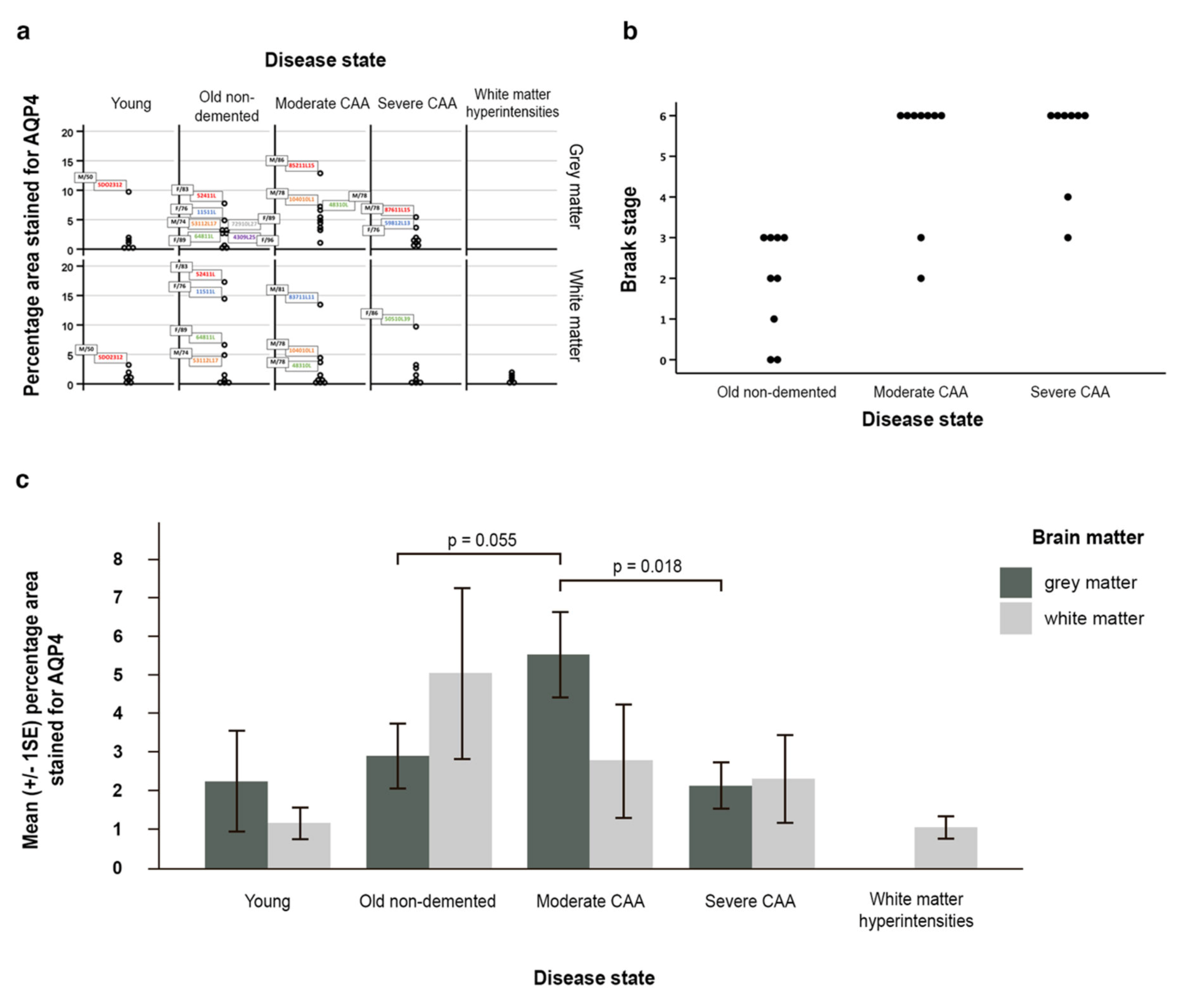 Ijms 21 01225 g005 Ijms 21 01225 g005