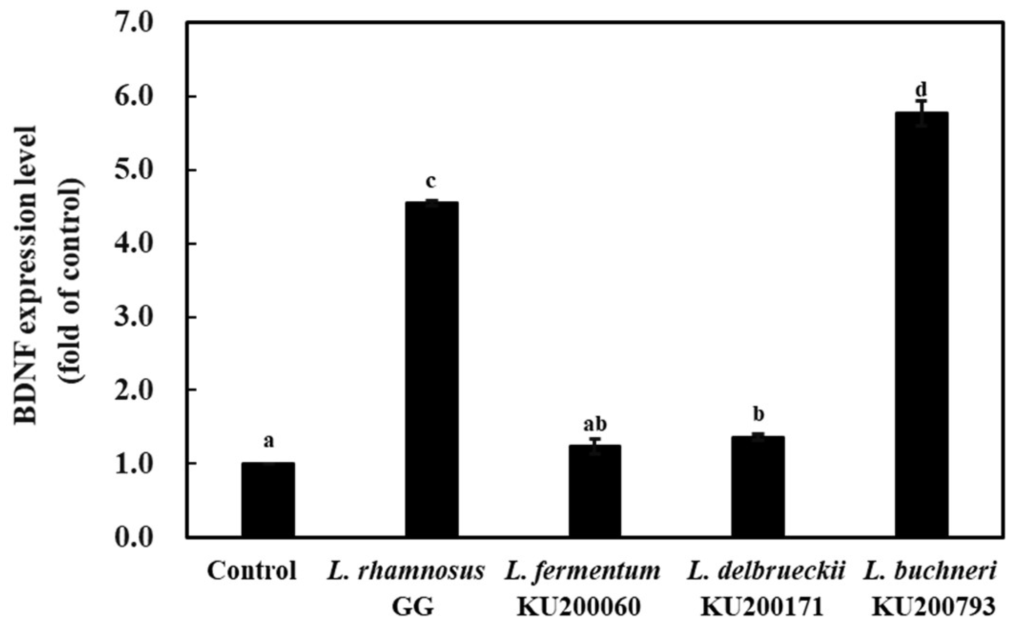 Ijms 21 01227 g002 Ijms 21 01227 g002
