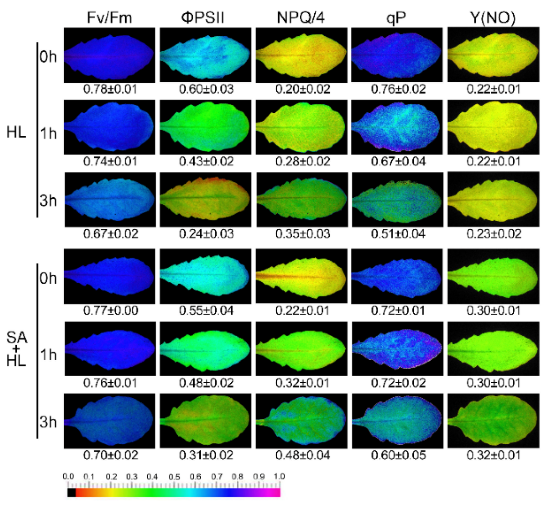 Ijms 21 01229 g002 Ijms 21 01229 g002