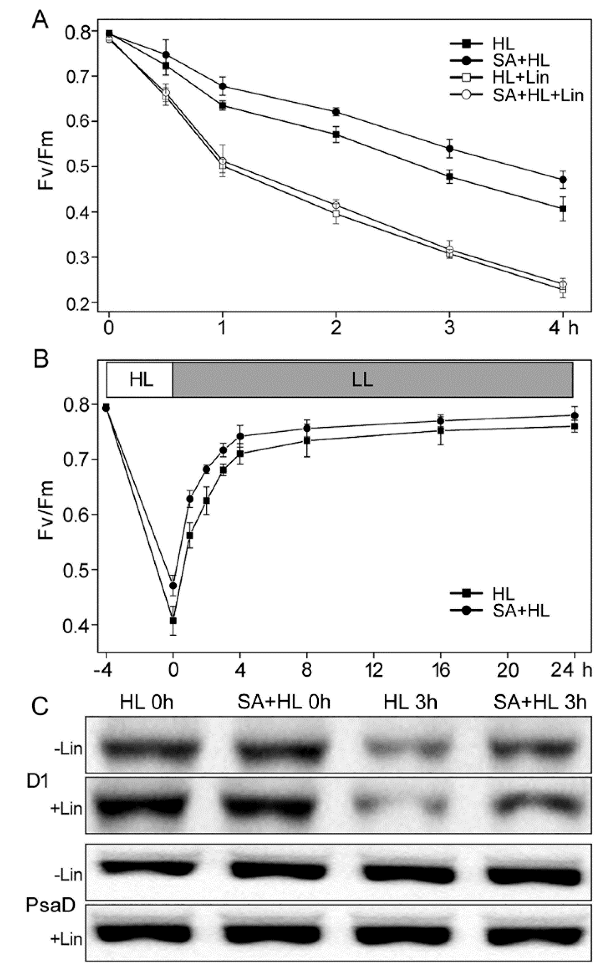 Ijms 21 01229 g004 Ijms 21 01229 g004
