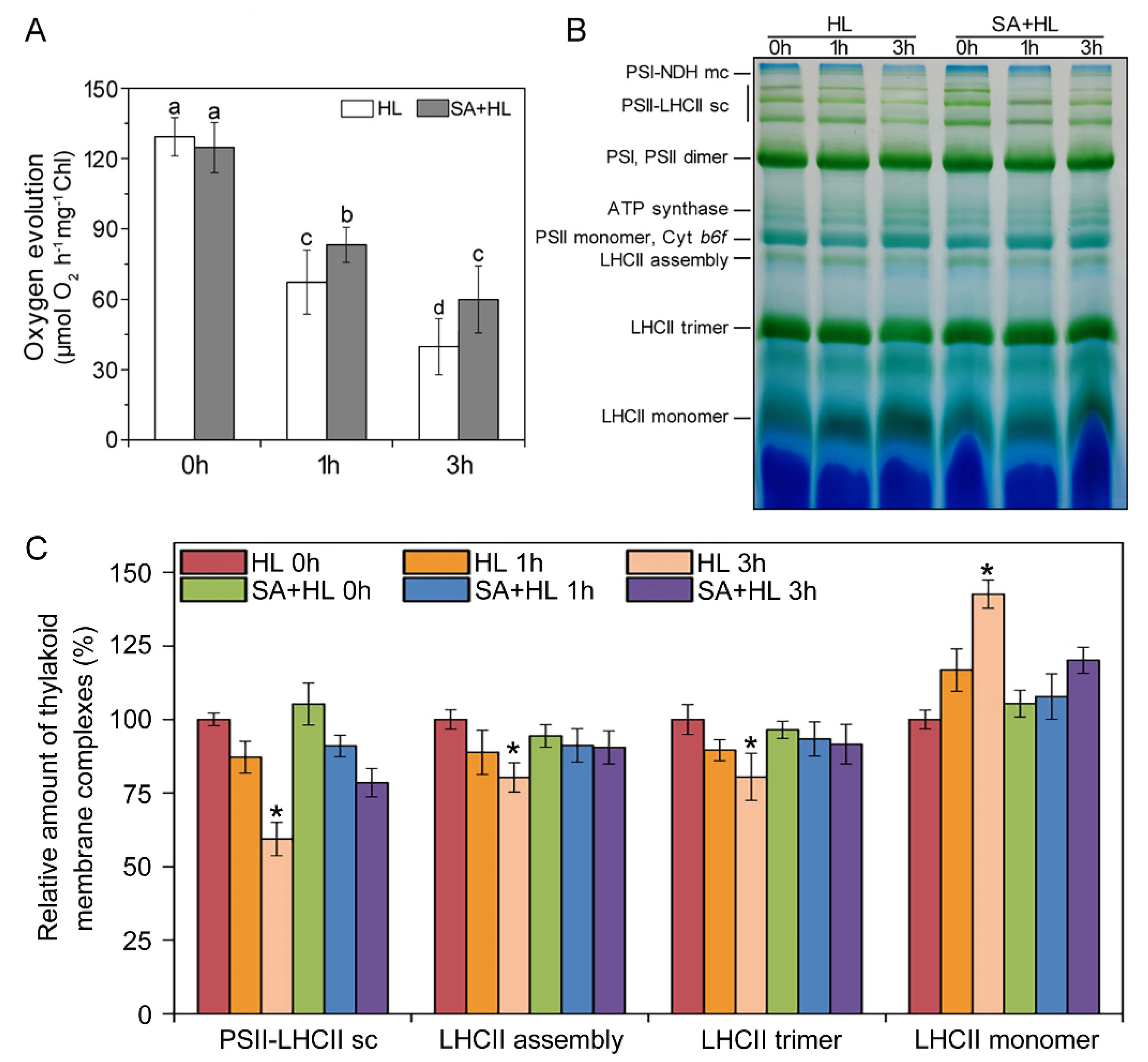 Ijms 21 01229 g007 Ijms 21 01229 g007